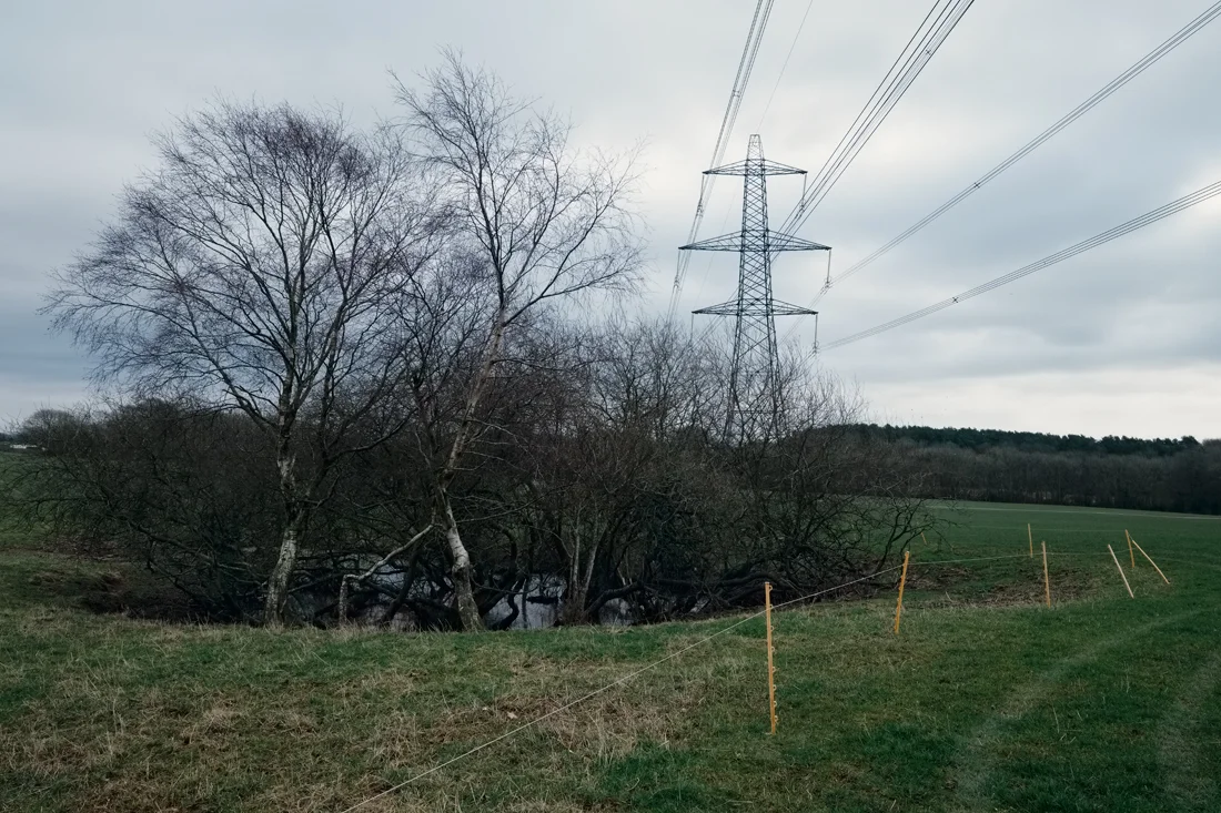 East Hoathly 19.02.2015 © Andrew Newson