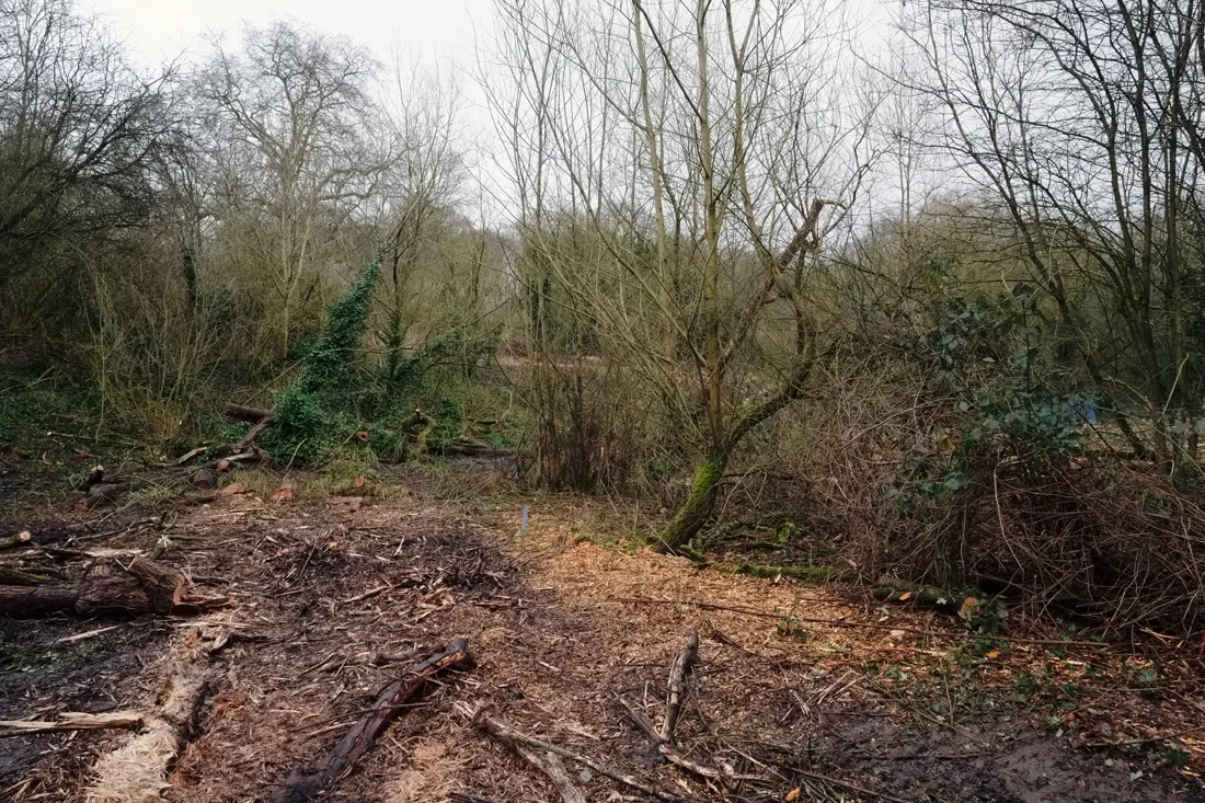 Hampstead Heath 14.02.2015 © Andrew Newson