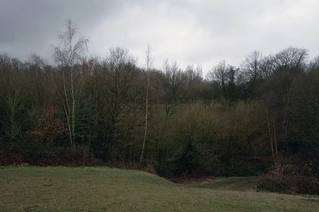 Hampstead Heath 14.02.2015 © Andrew Newson