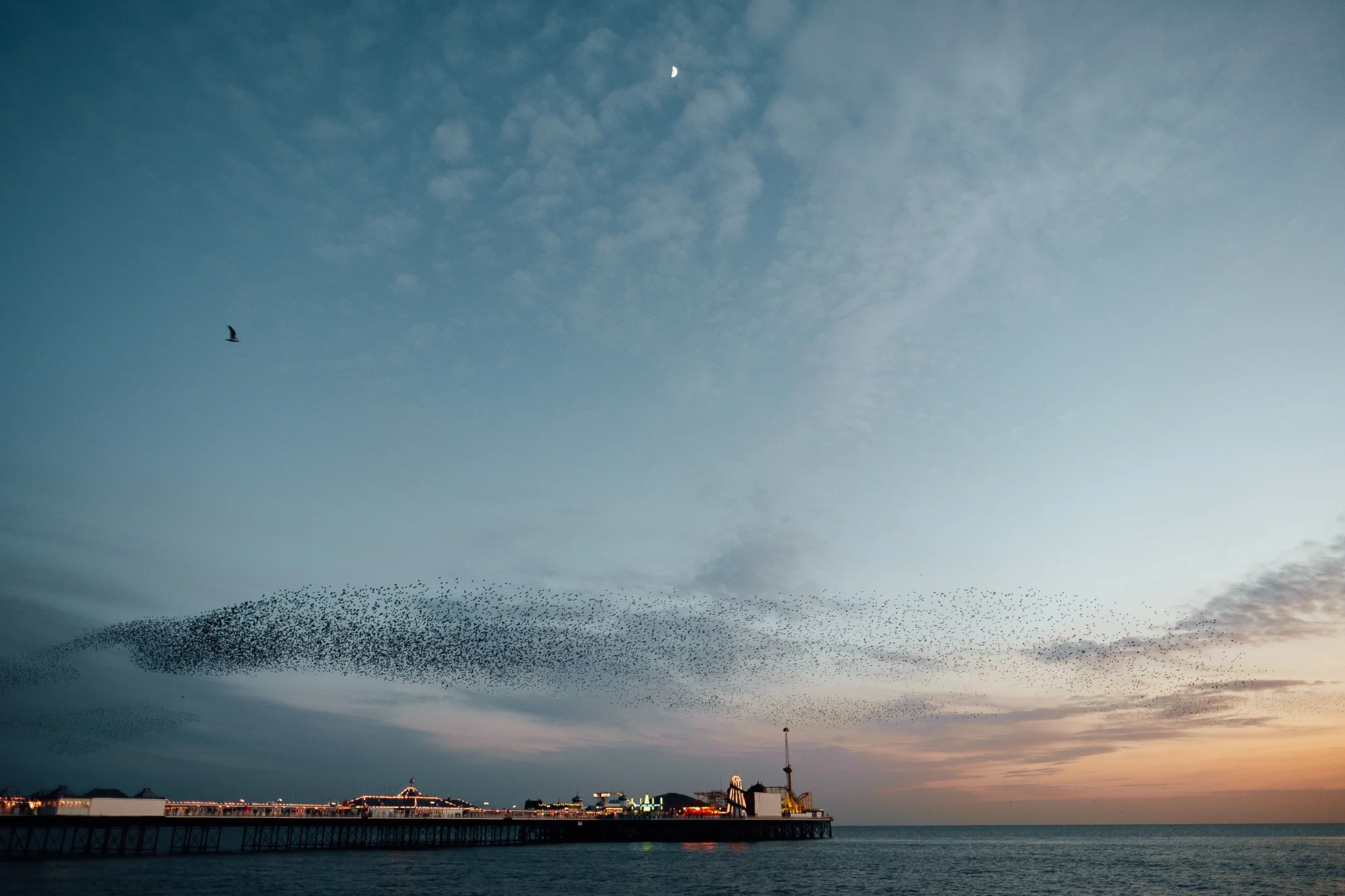 © Andrew Newson