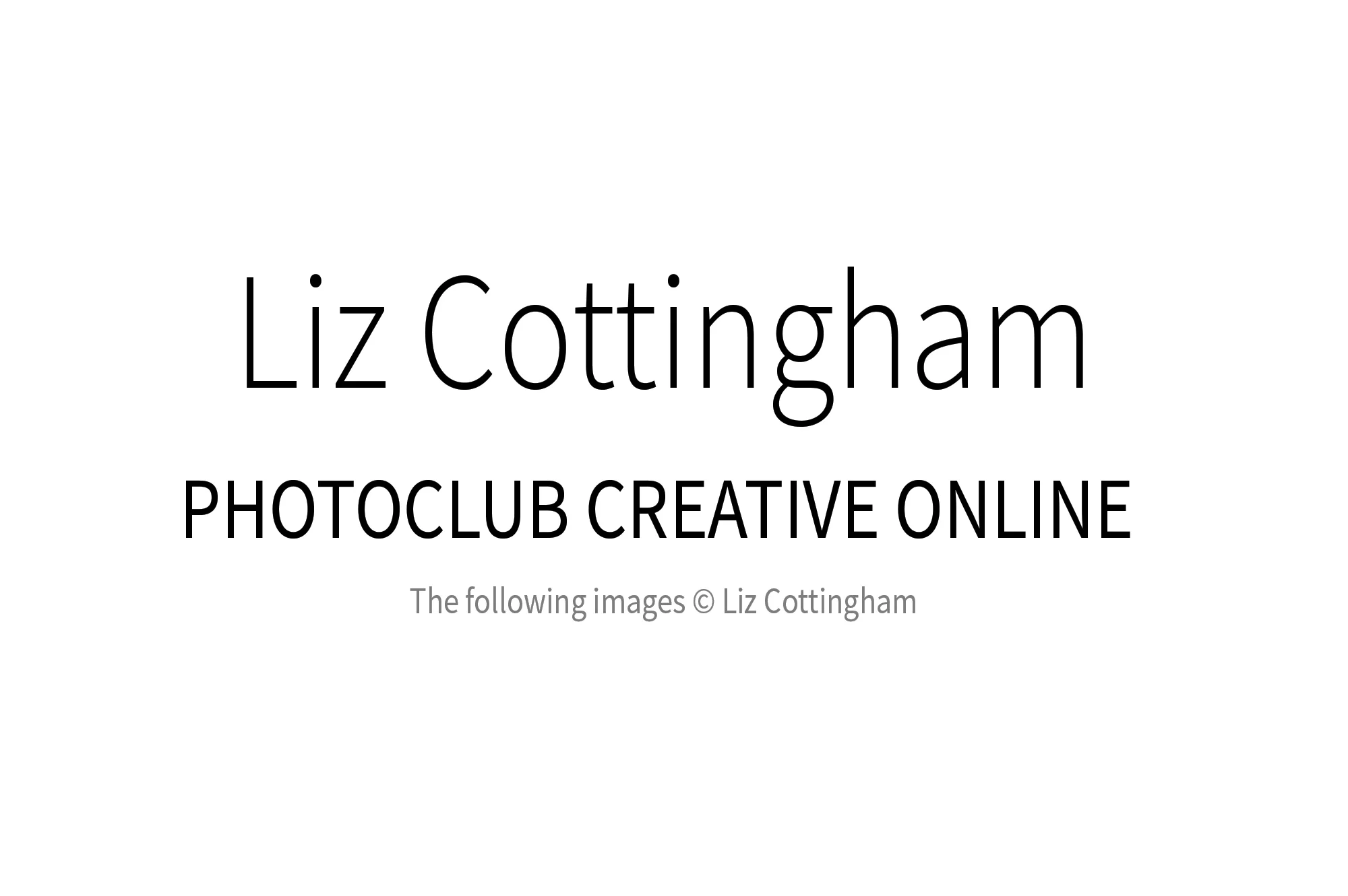 liz_cottingham_00w.jpg