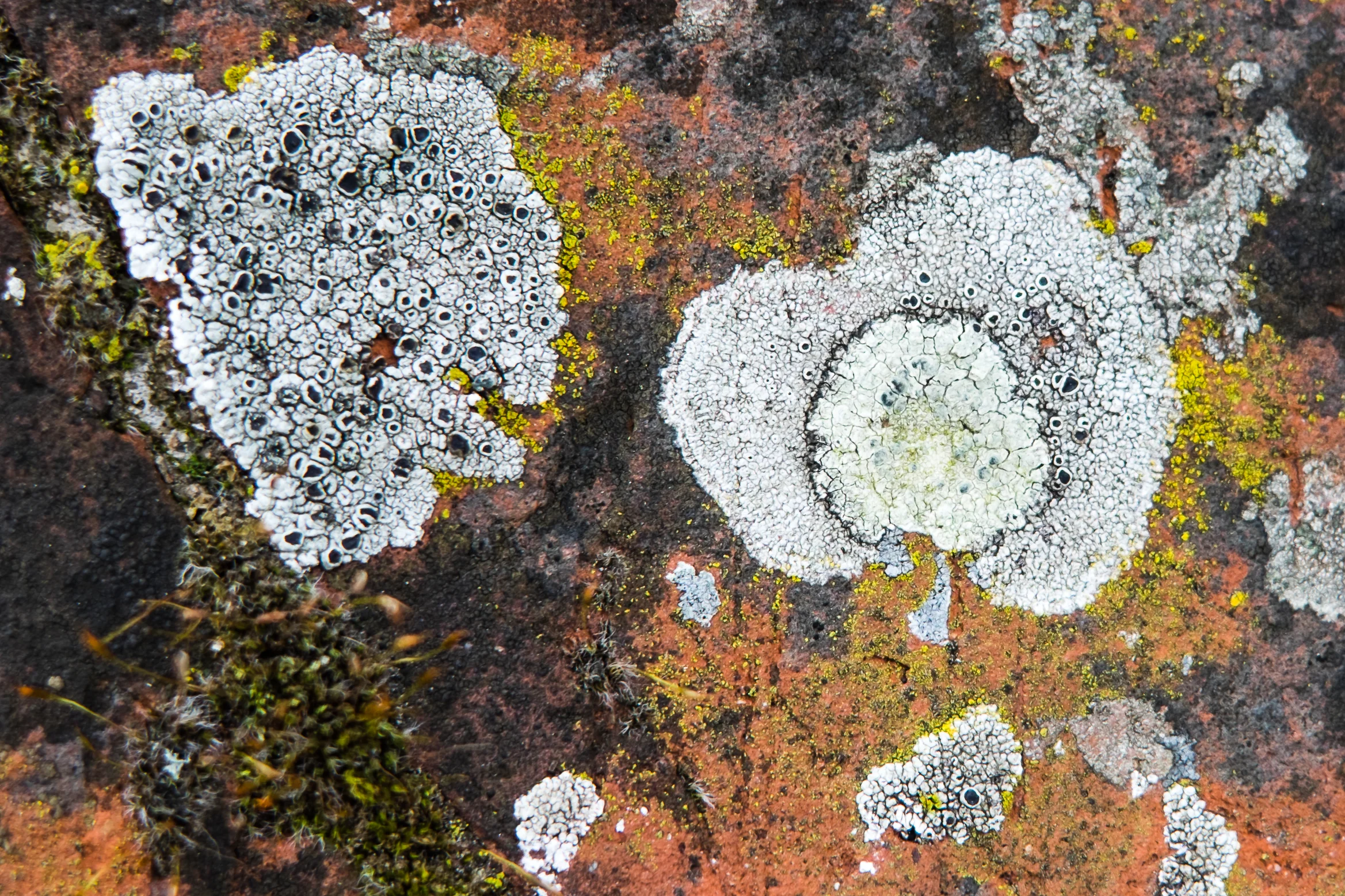 liz_cottingham_exhibition_04.jpg