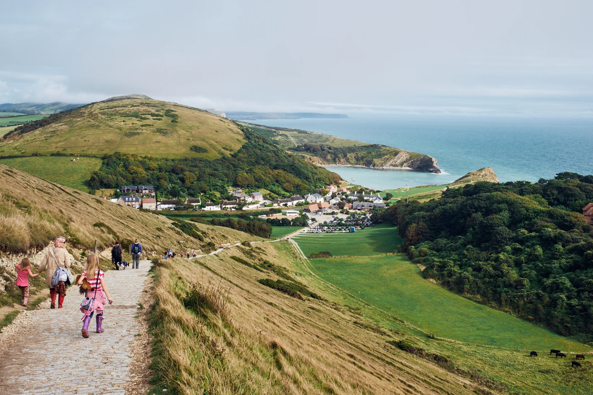 Lulworth Cove in distance © Andrew Newson