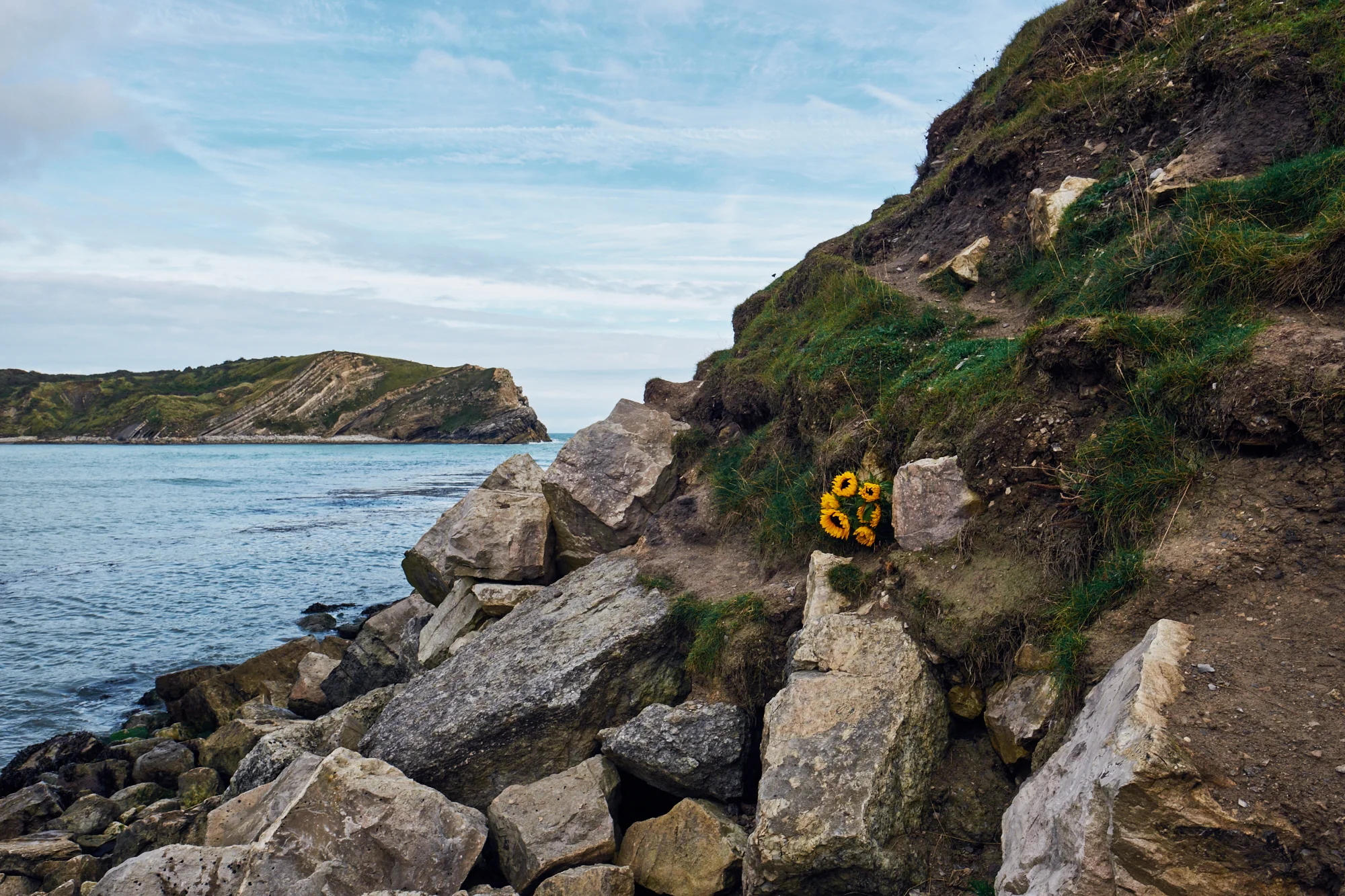 Floral Tribute at Lulworth Cove - © Andrew Newson
