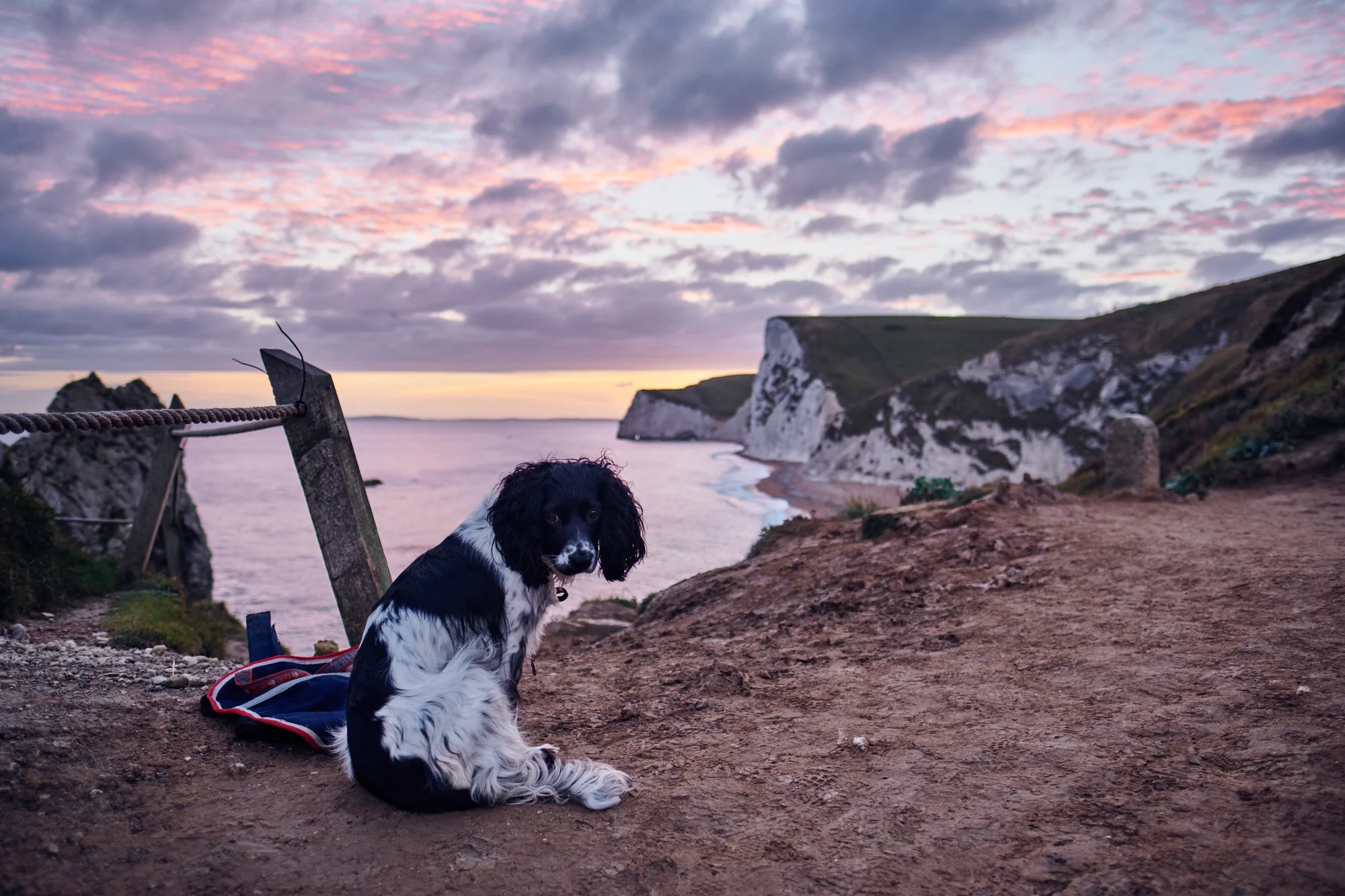 Beautiful Mable, another attendee of the course - © Andrew Newson
