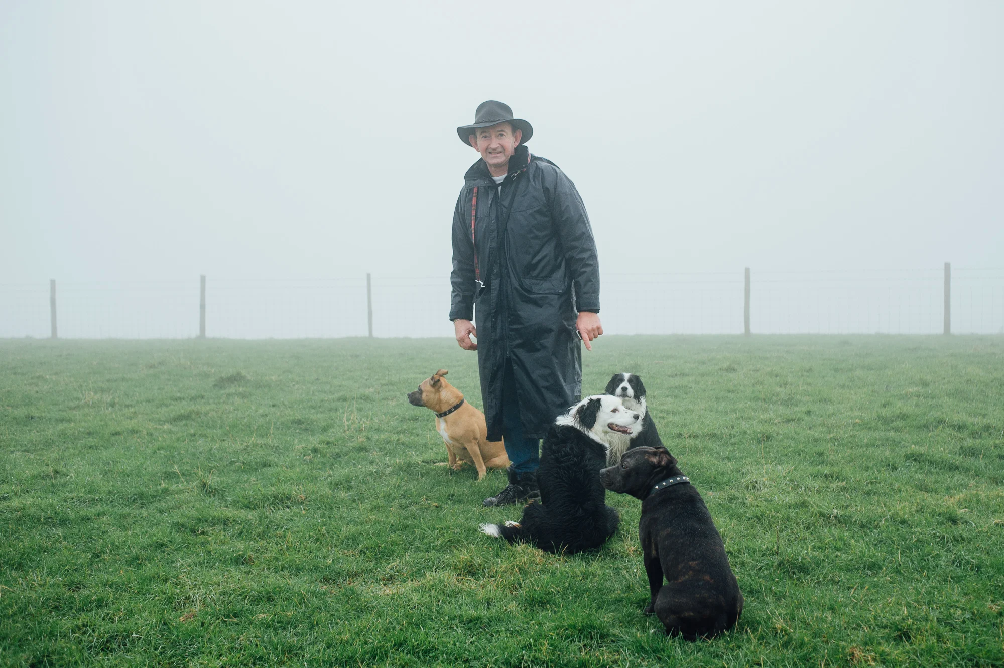 Willingdon Downs, East Sussex