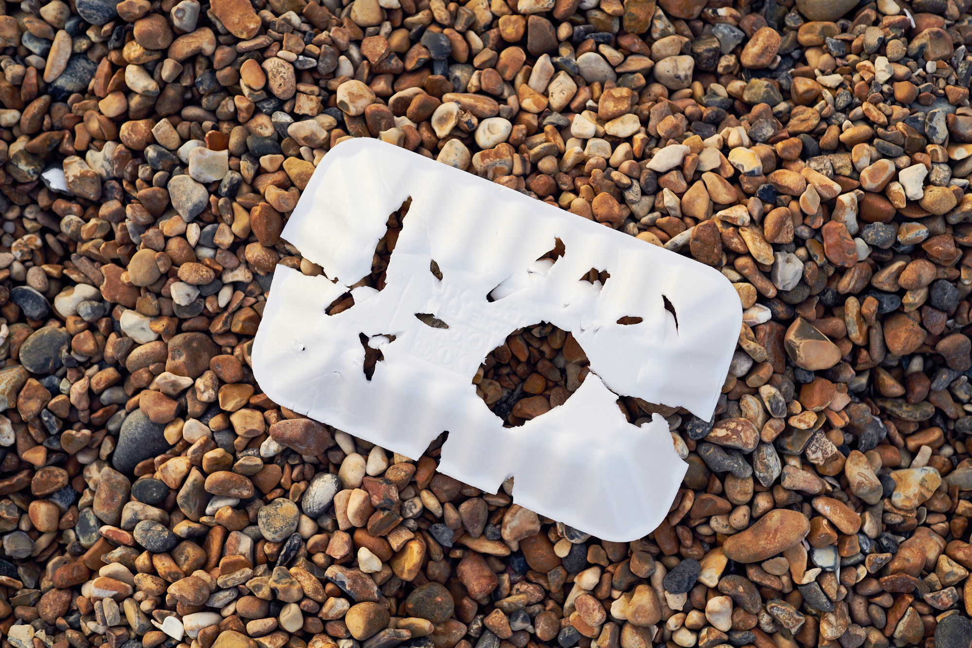 Seagull Evidence