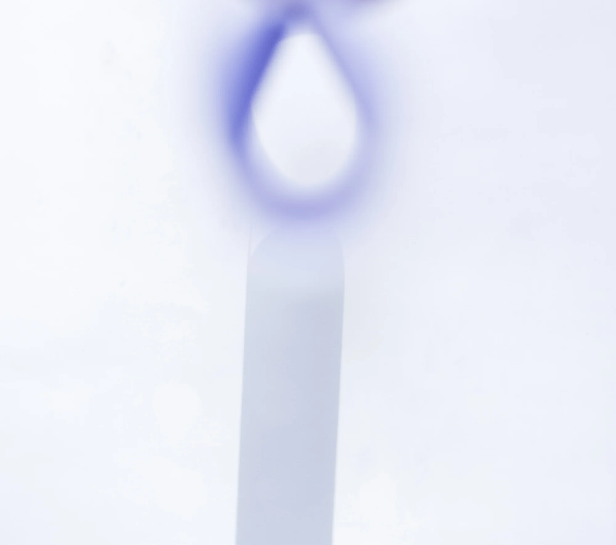 BlossSpink_04_whitepaper_2000px.jpg