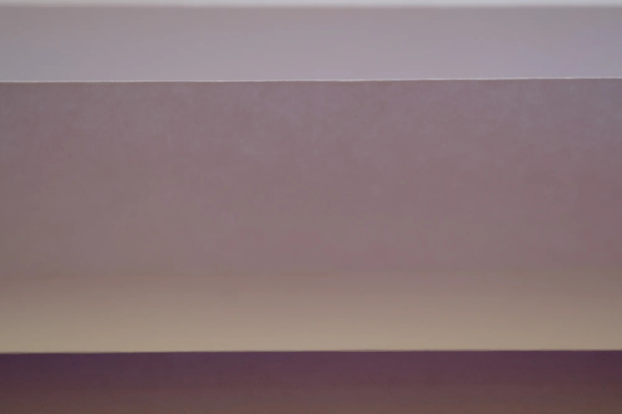 lizbisson_05_WhitePaper_2000px.jpg