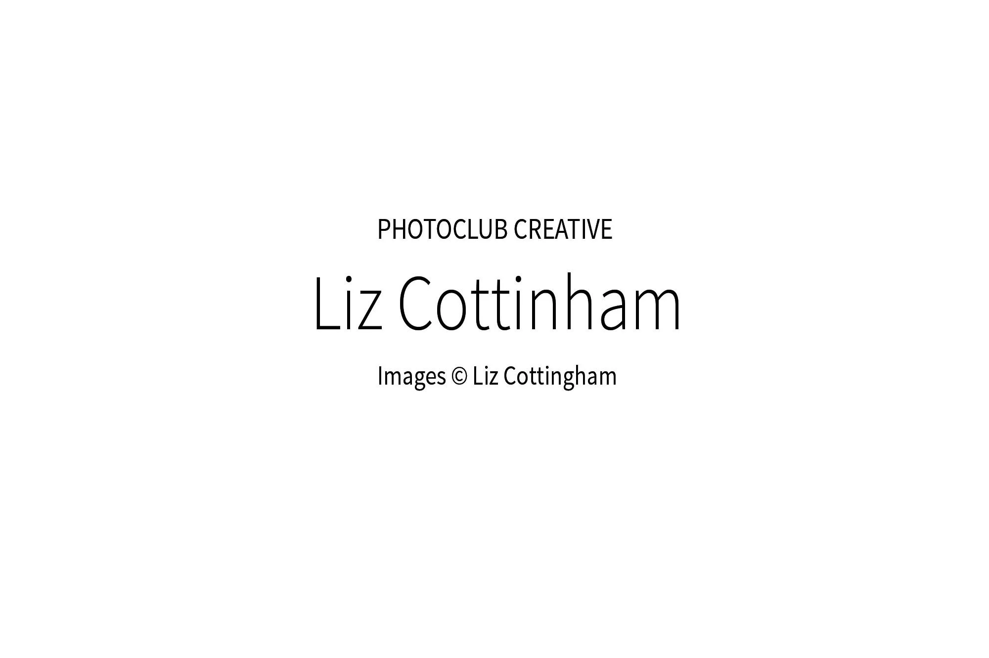 LizCottingham_00w_2000px.jpg