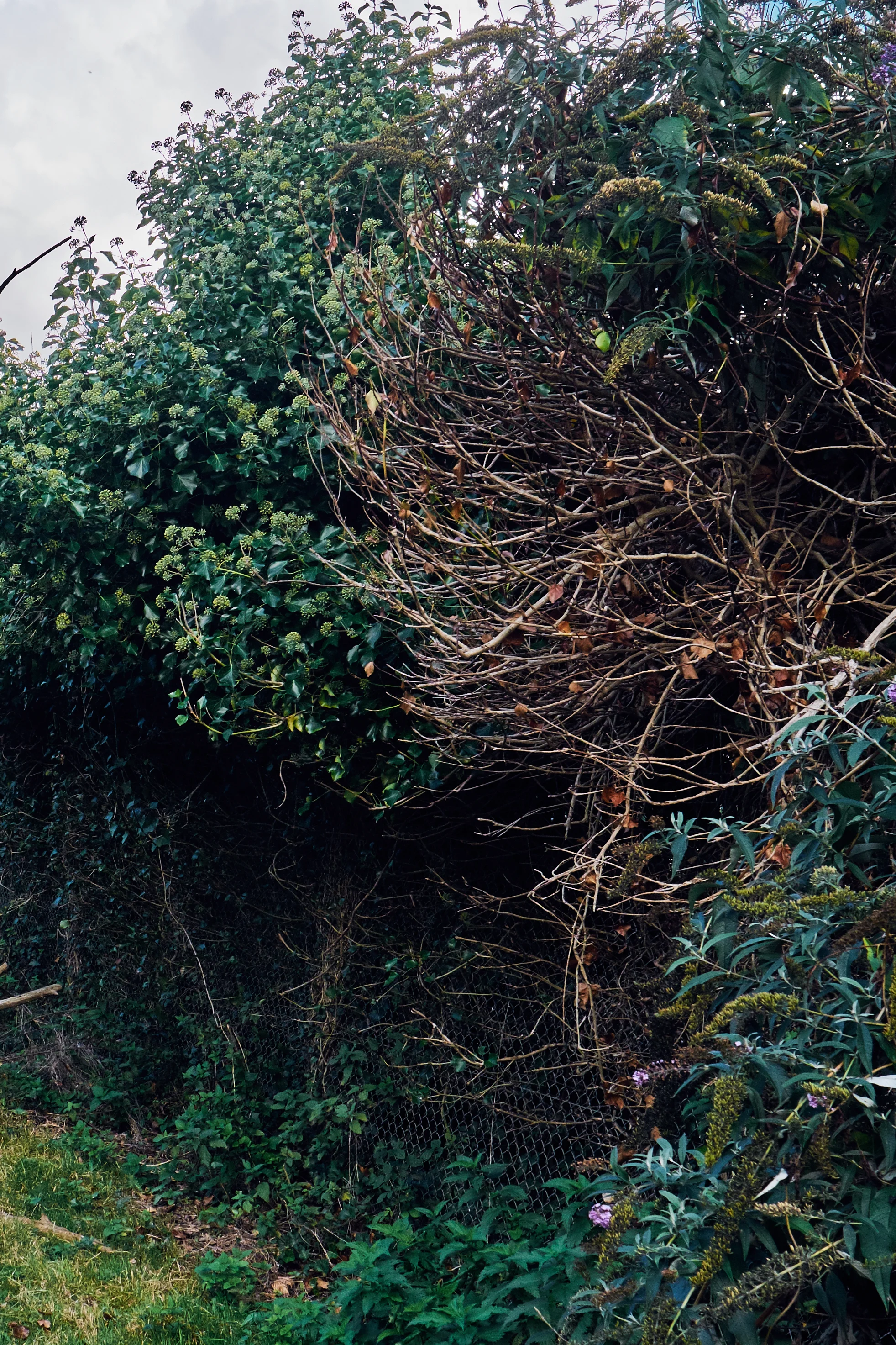 © Andrew Newson