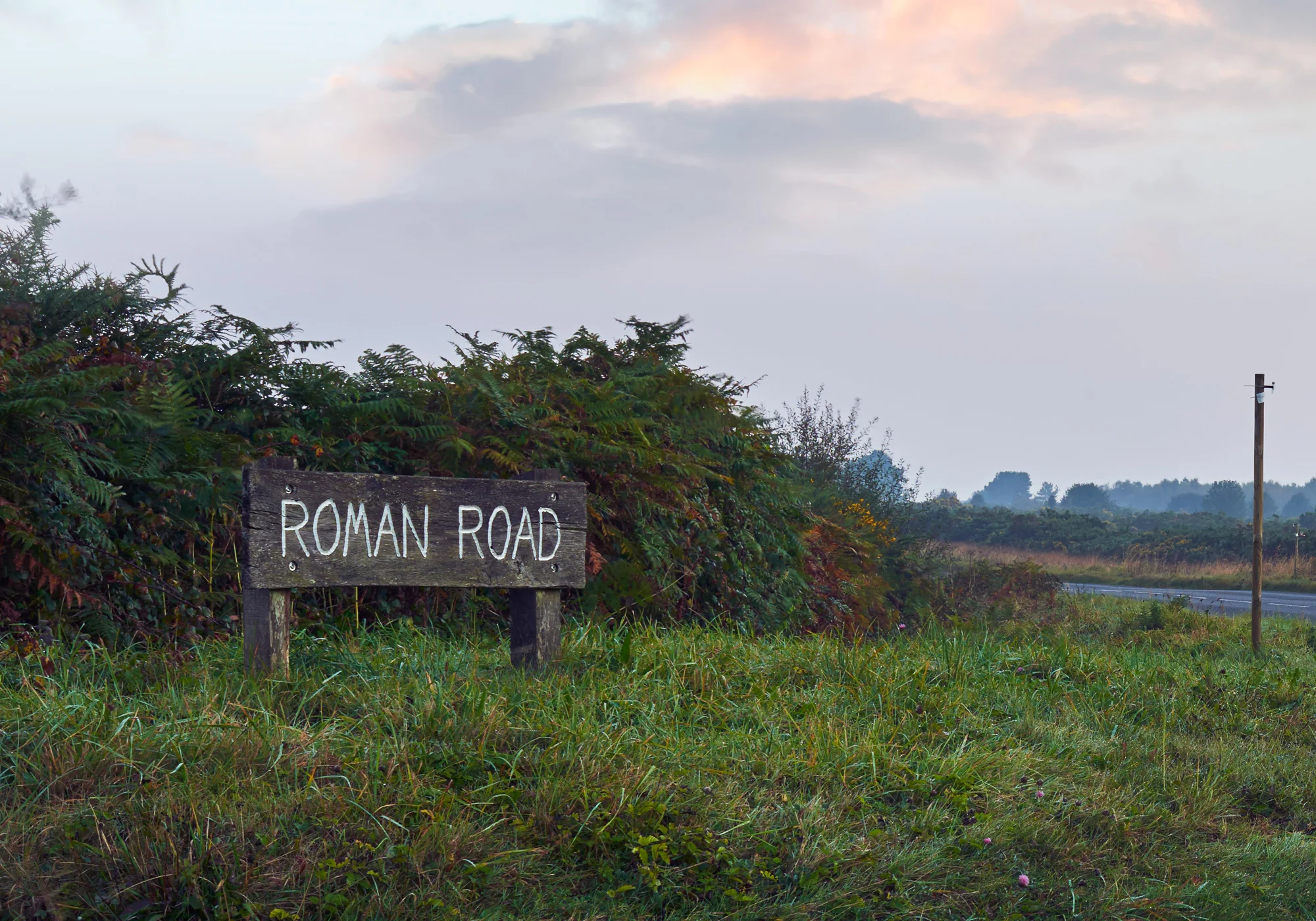 SteveMcCabe_01_Landscape 1_2000px.jpg