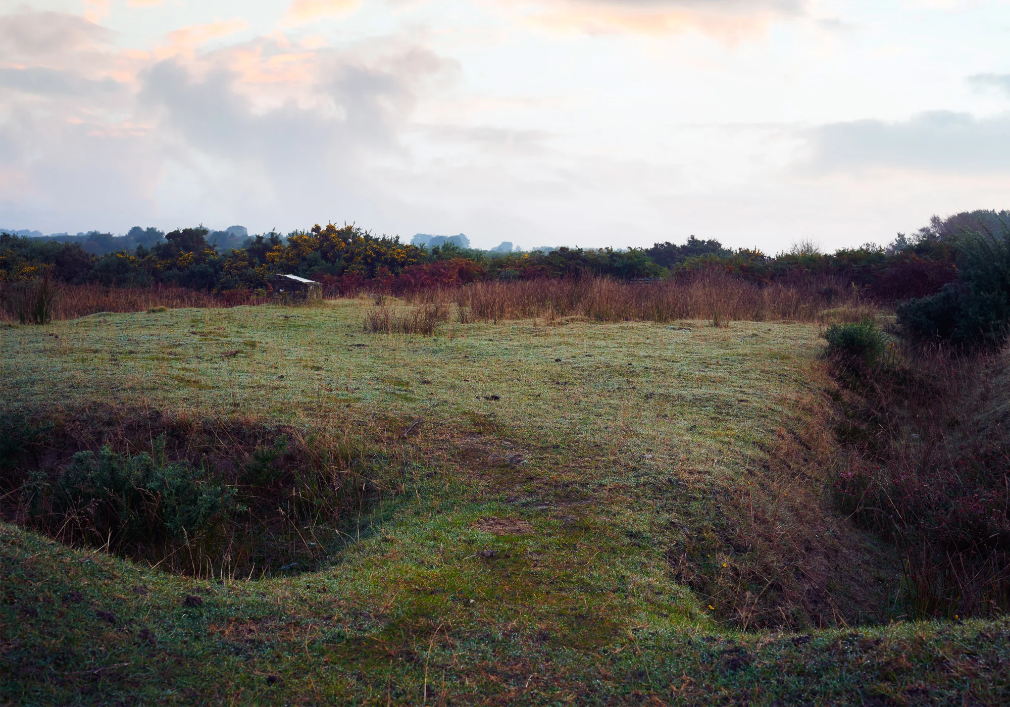 SteveMcCabe_02_Landscape 2_2000px.jpg