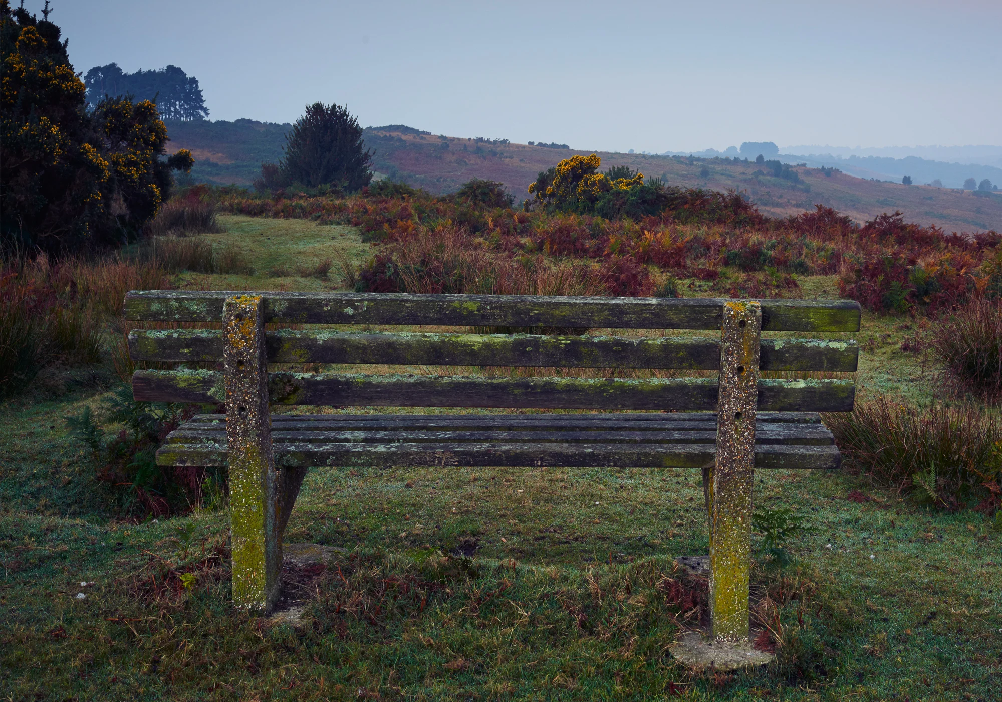 SteveMcCabe_05_Landscape 5_2000px.jpg