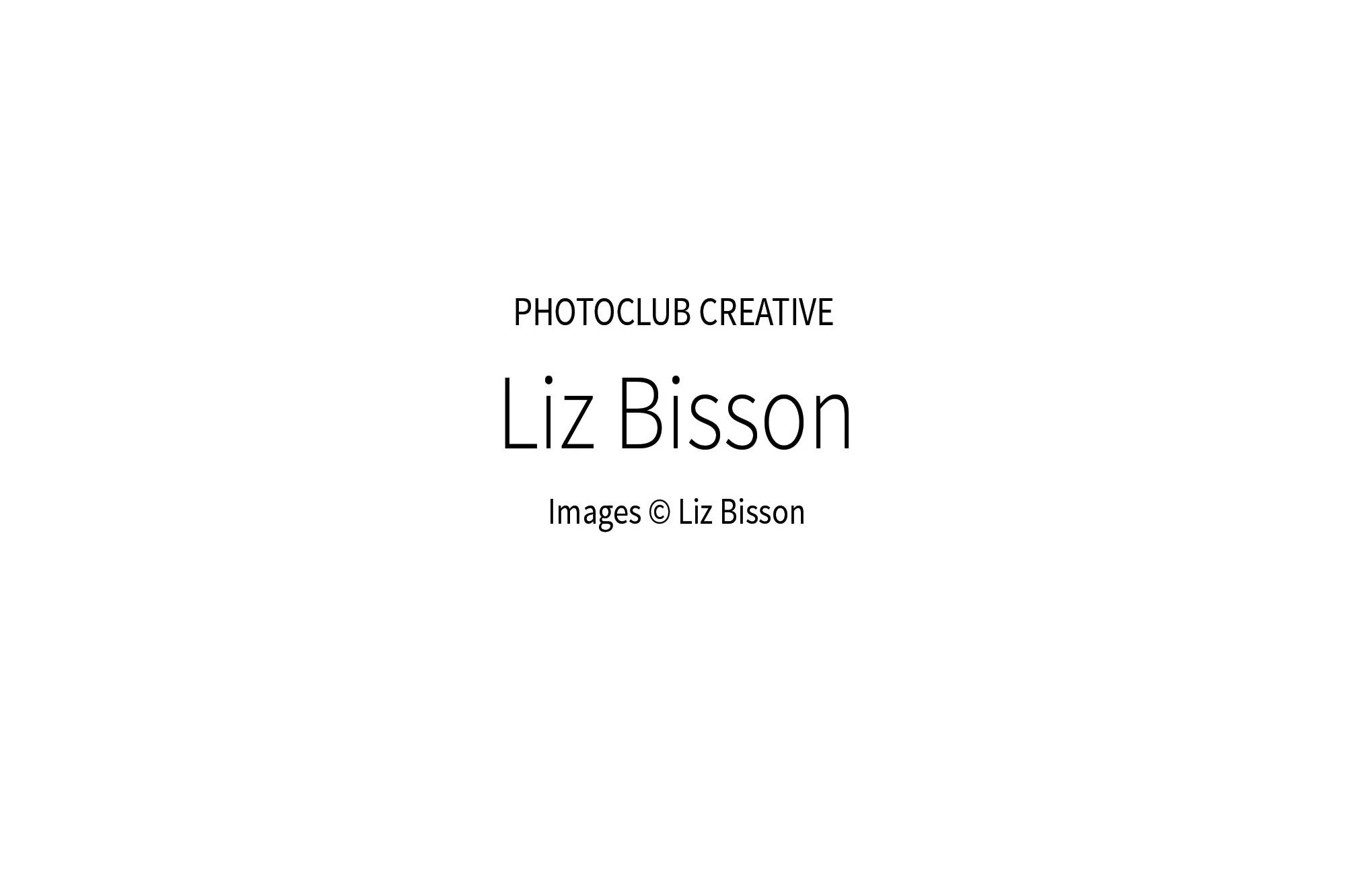 LizBisson_00w.jpg