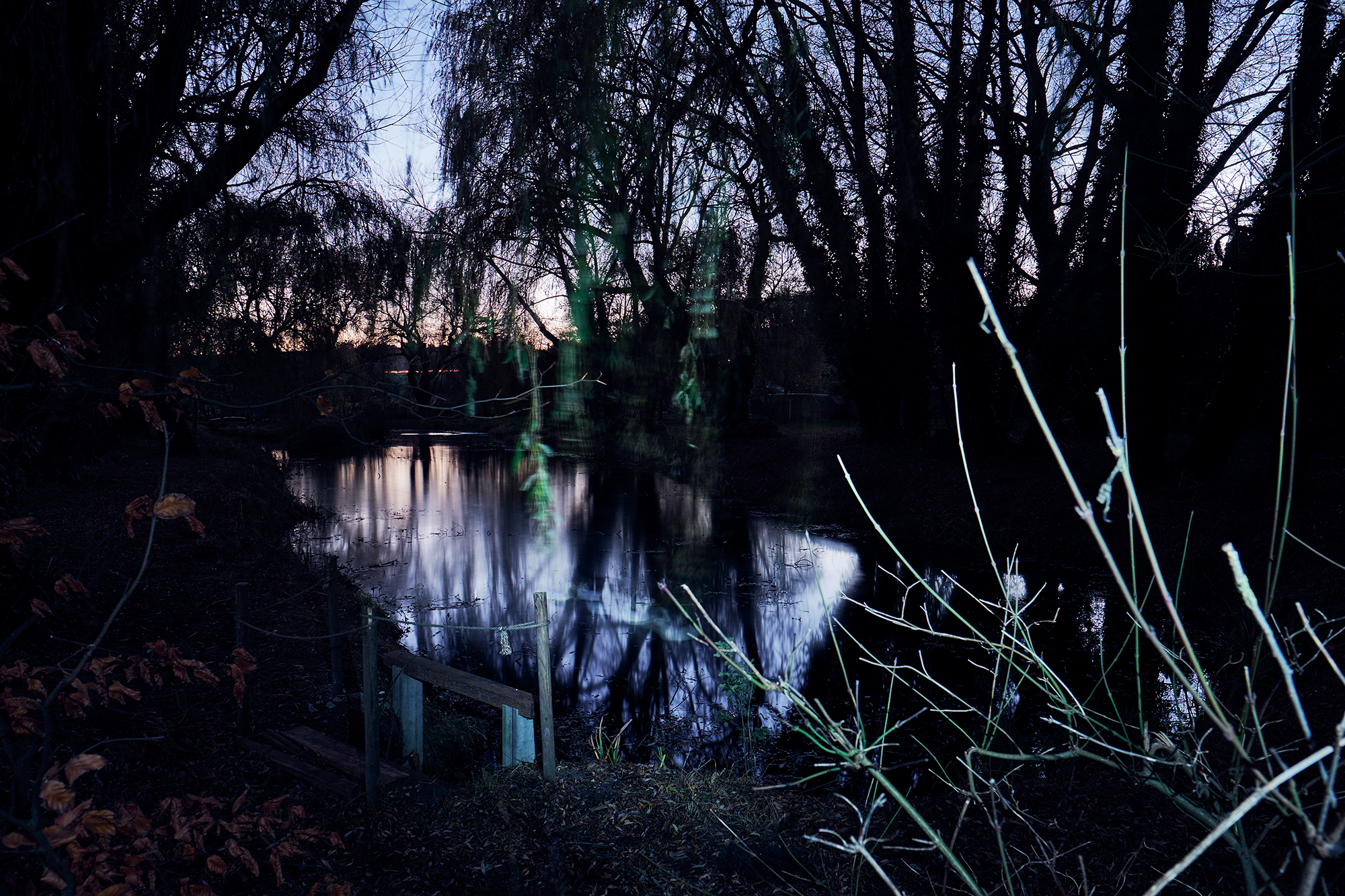 © Andrew Newson