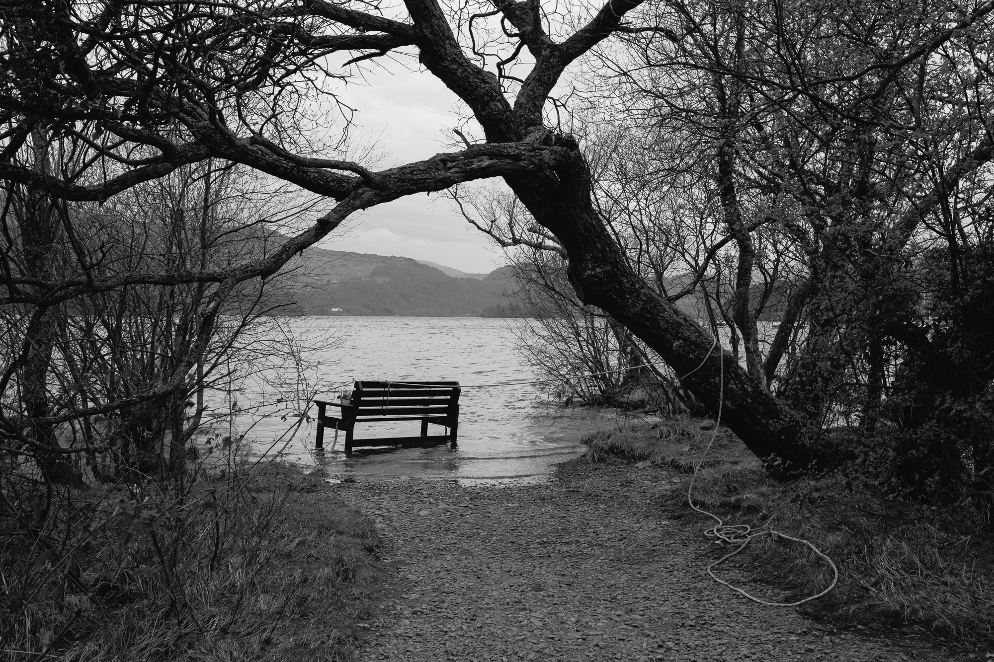© Andrew Newson