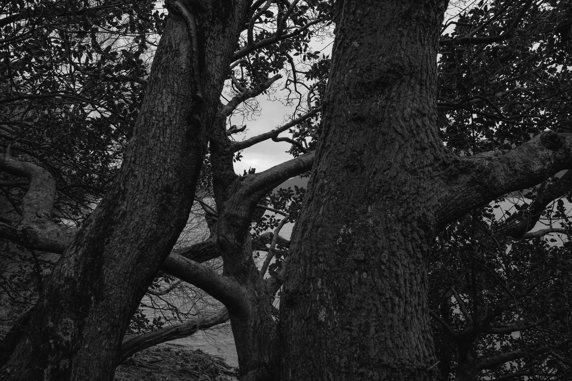 © Andrew Newson