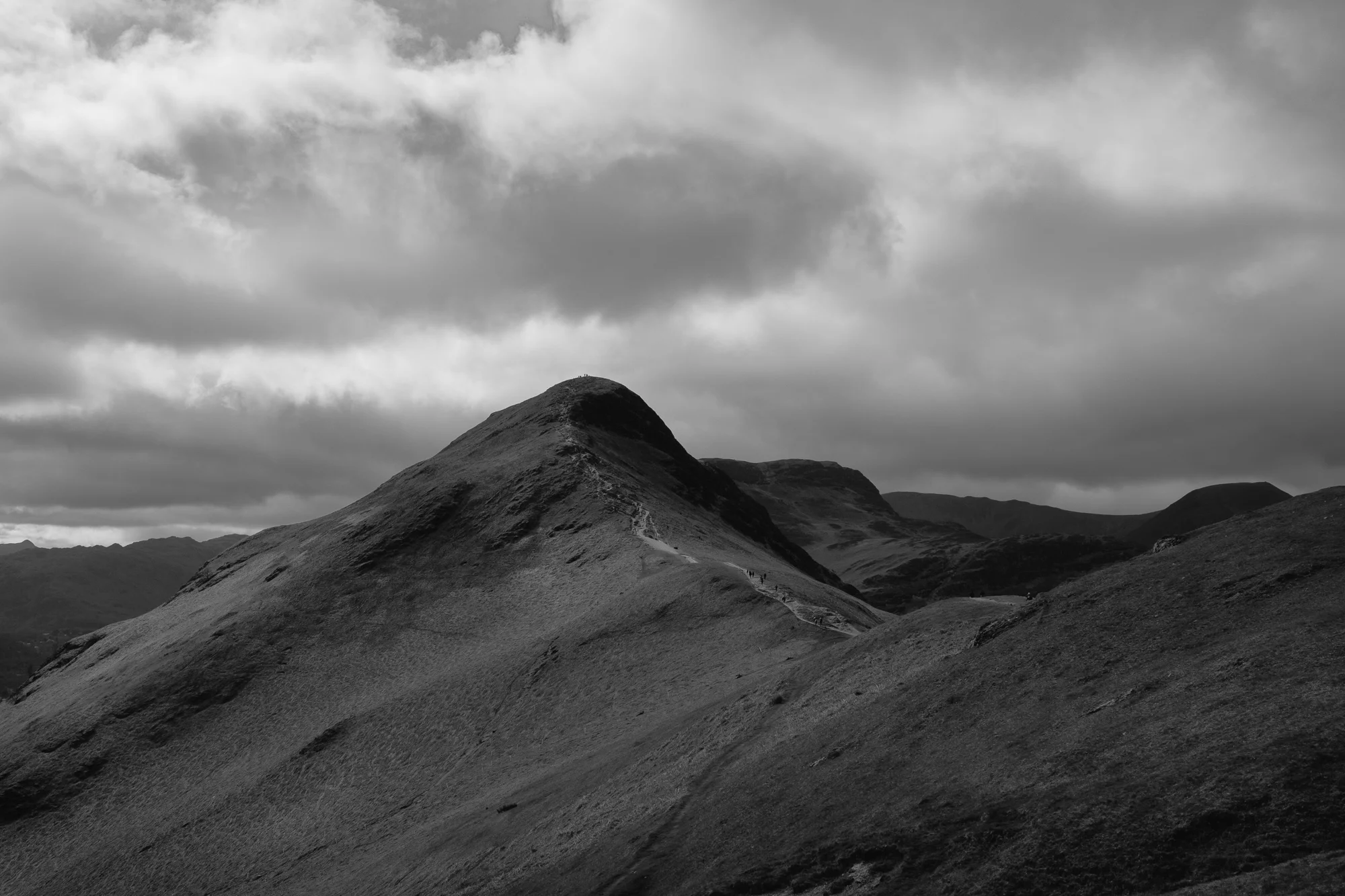 © Andrew Newson