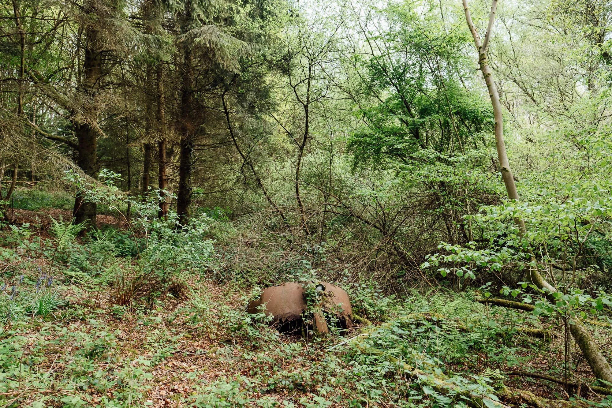 © Andrew Newson