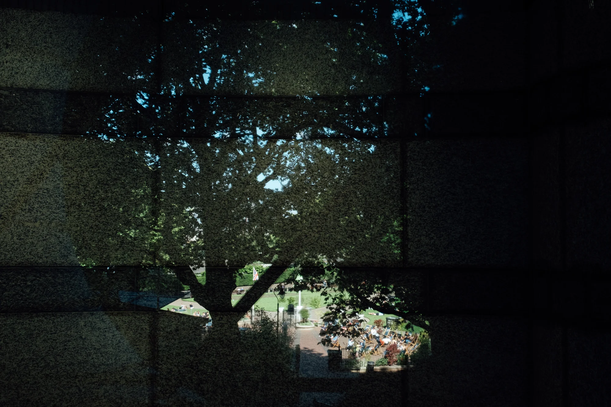 © Andrew Newson