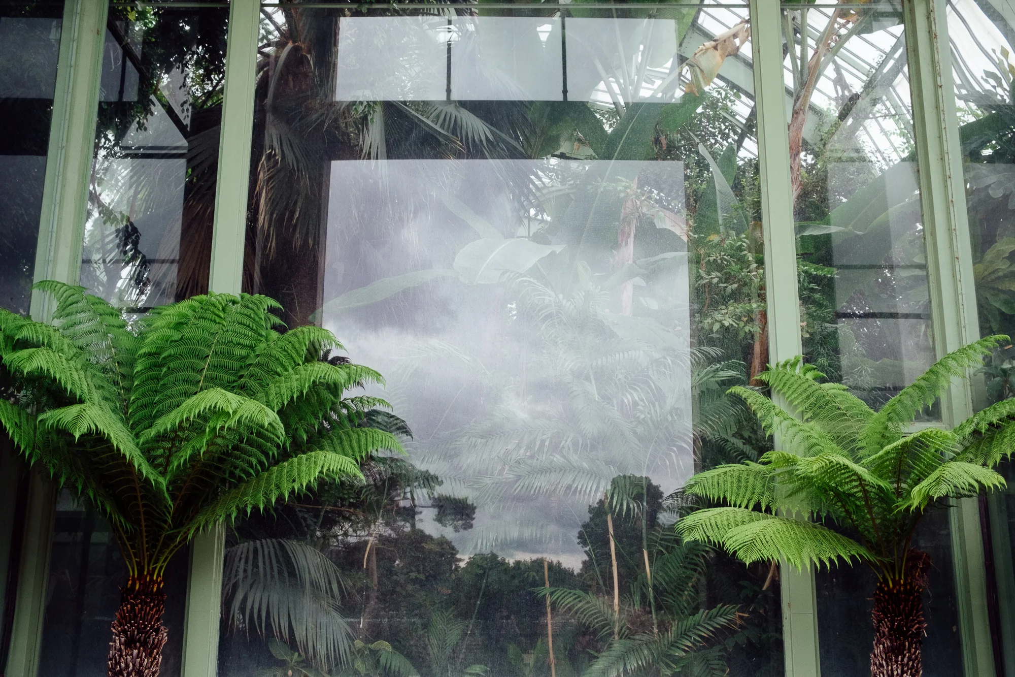 130612__DSF9300_2000px.jpg