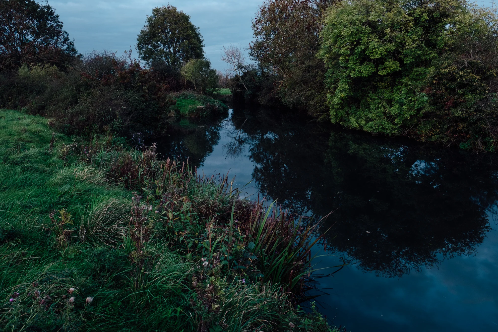 © Andrew Newson