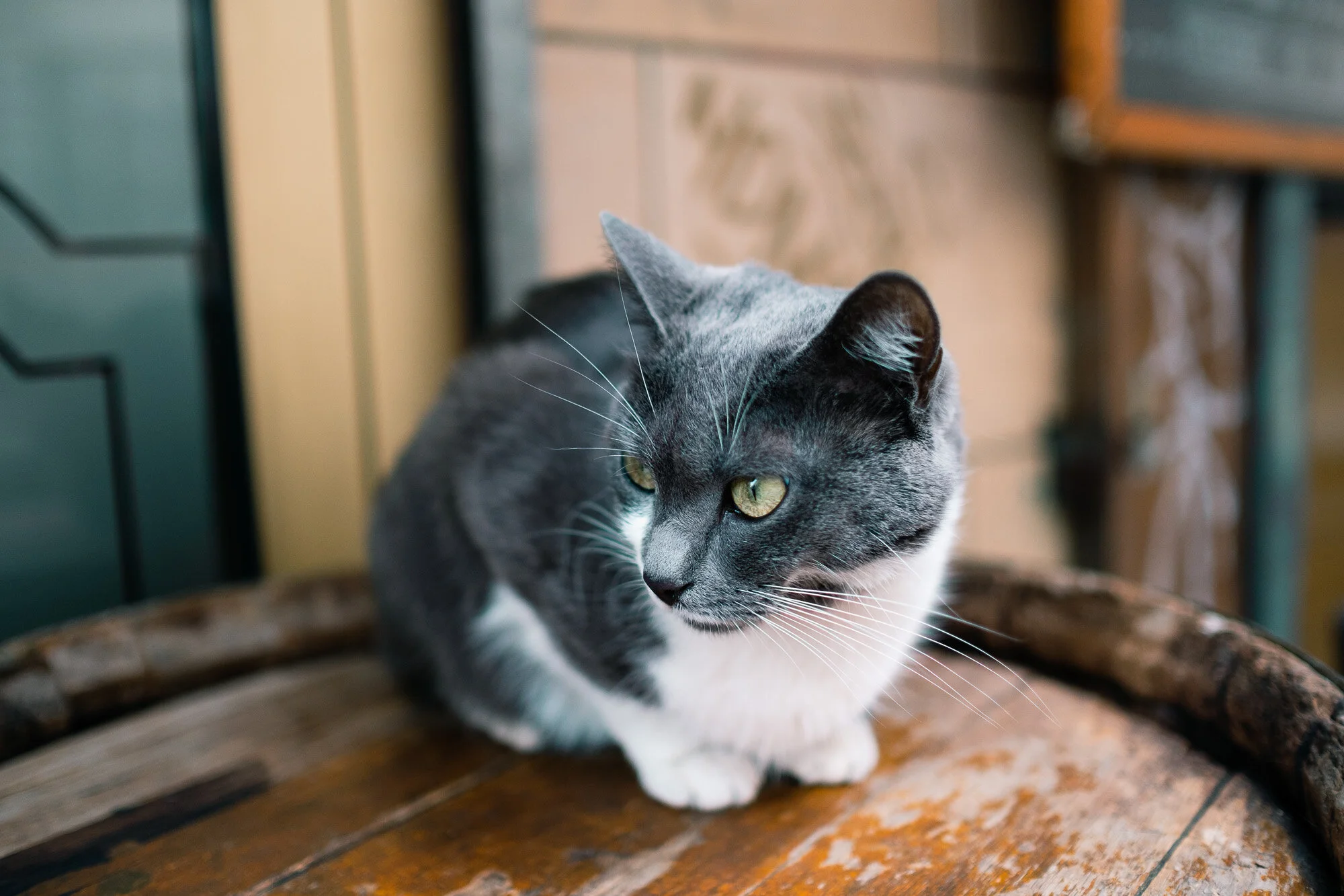 20180525_DSF7327_2000px.jpg