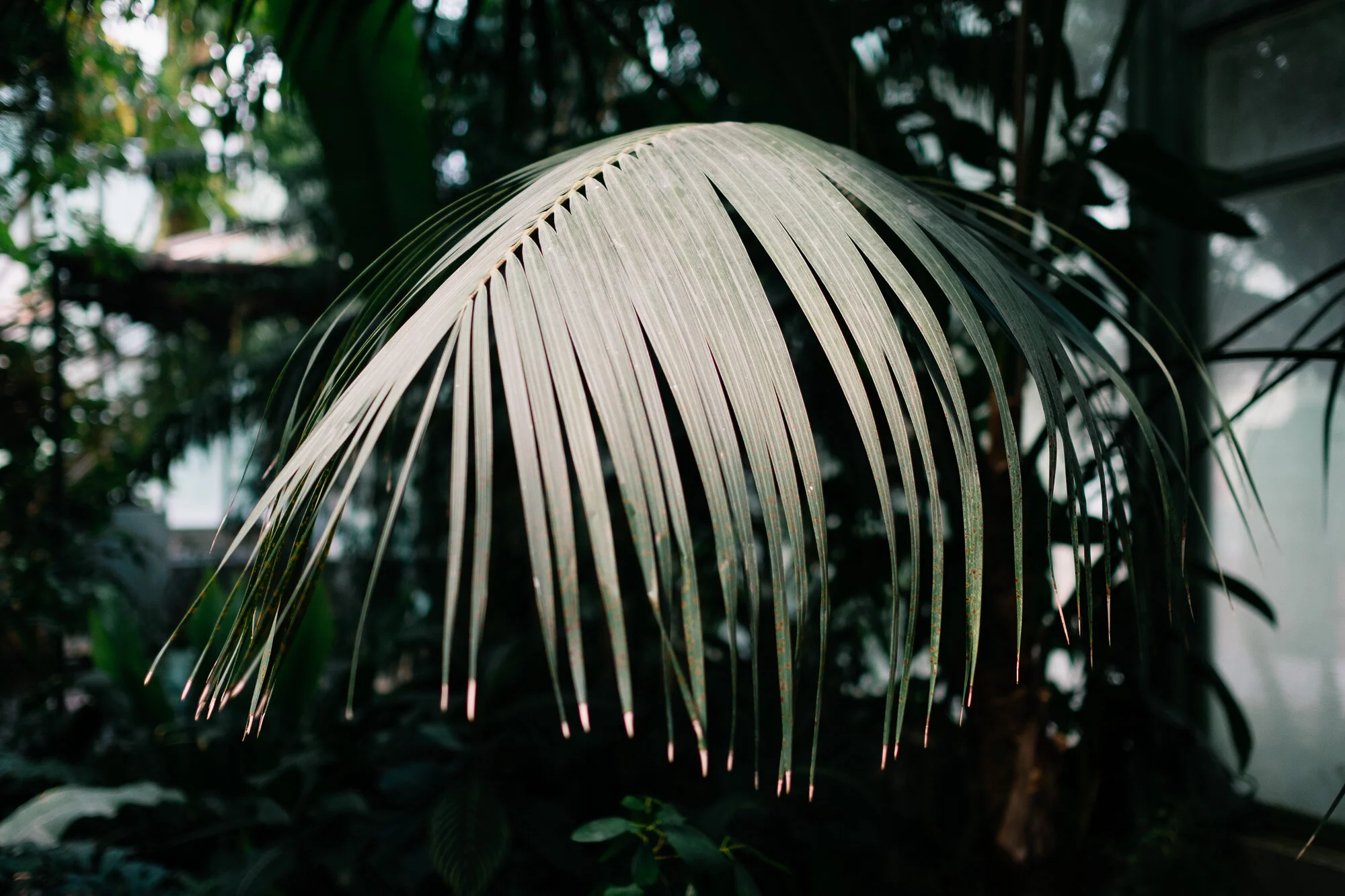 20180525_DSF7425_2000px.jpg