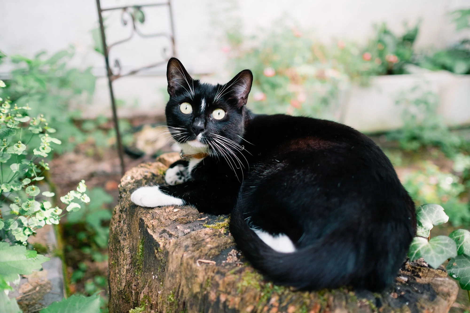 20180525_DSF7434_2000px.jpg