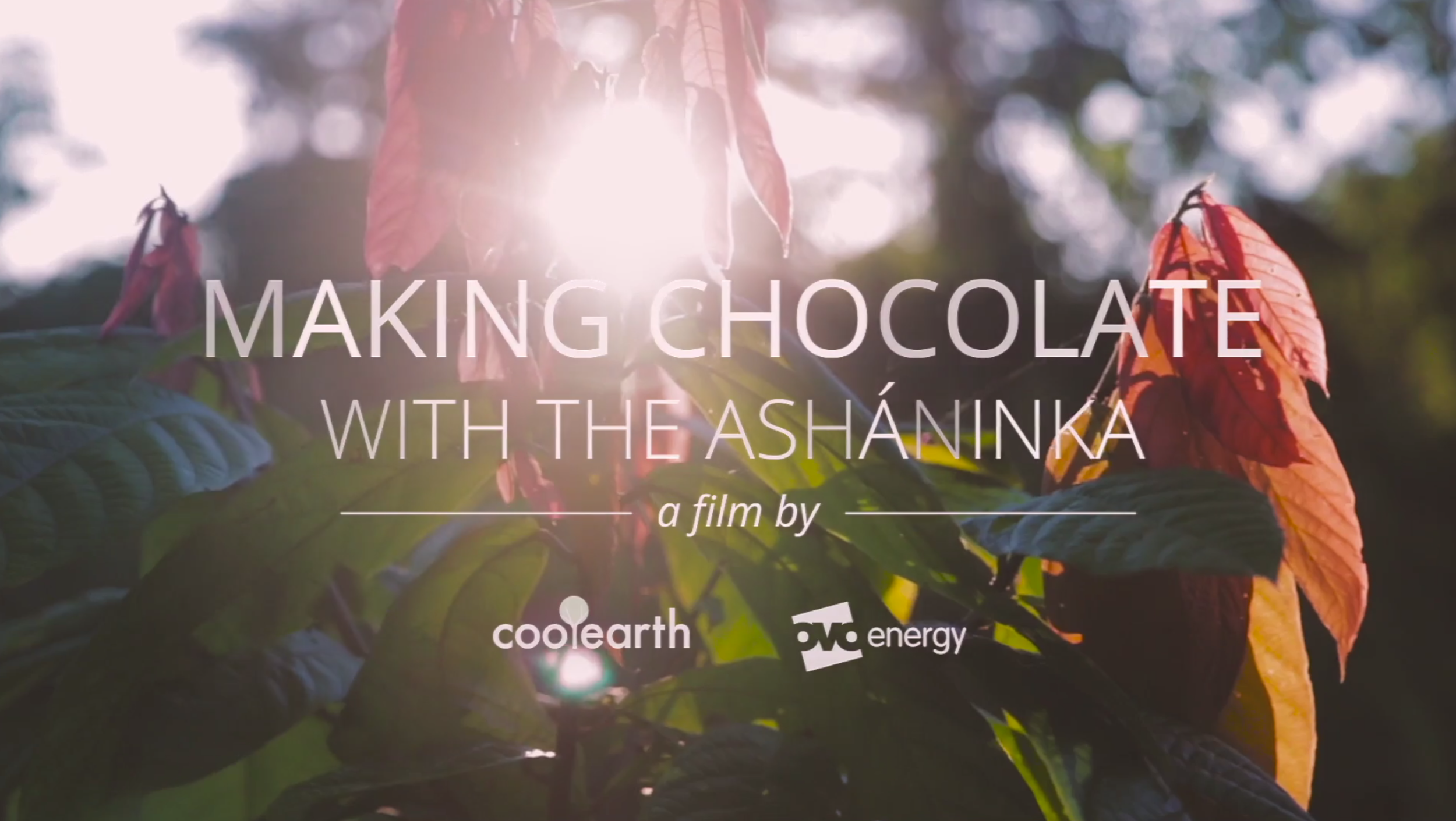 Making Chocolate with the Asháninka