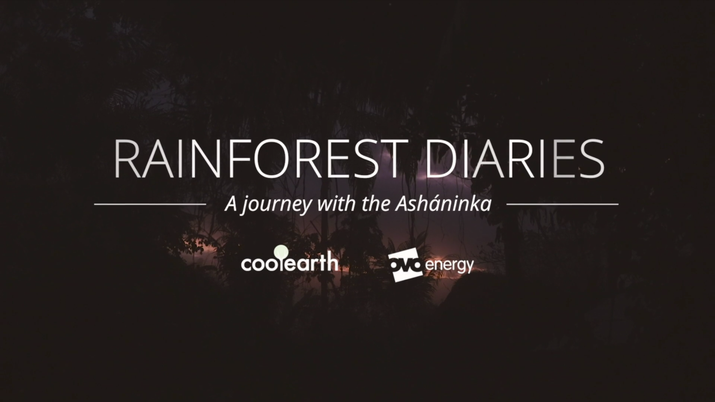 The Rainforest Diaries