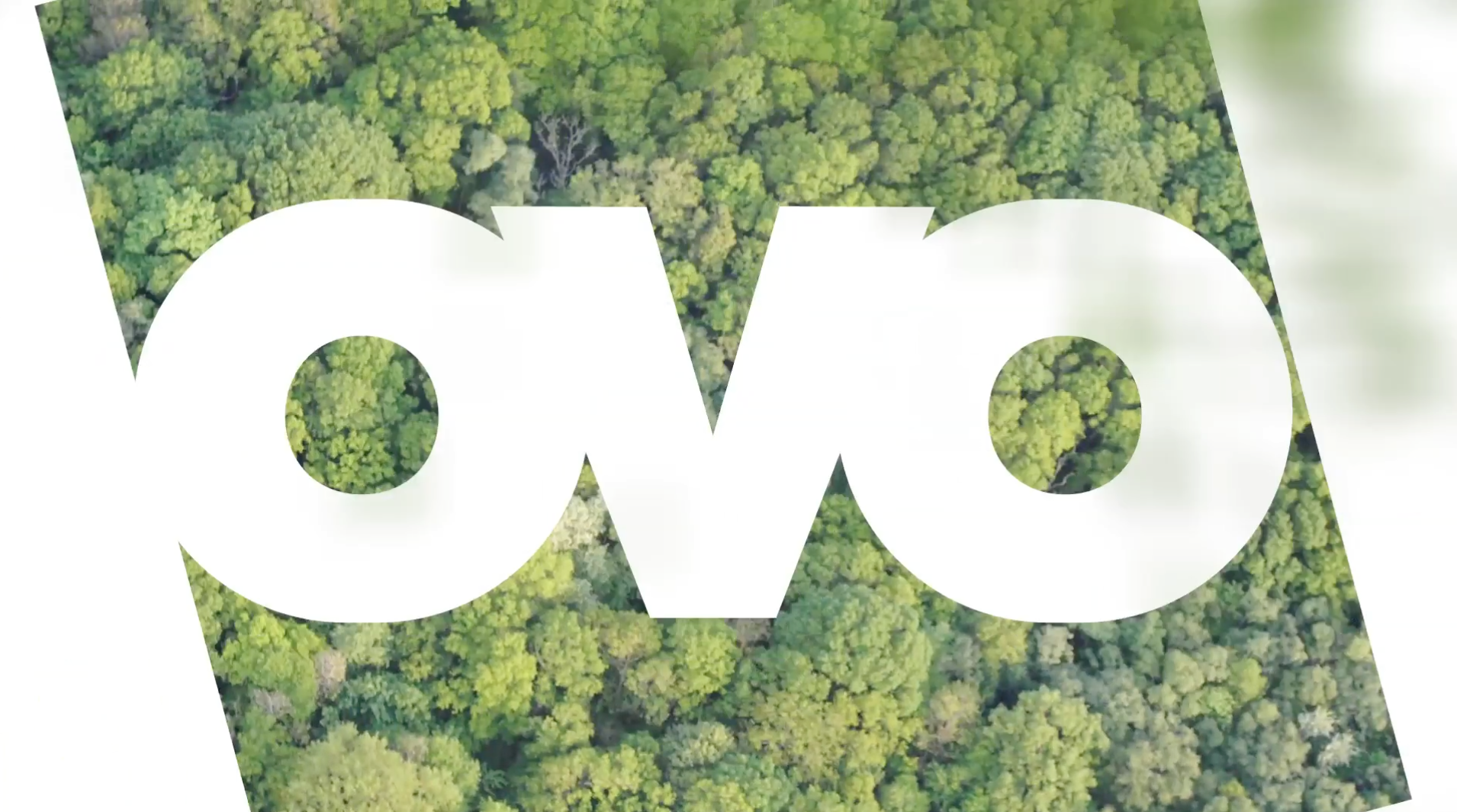 OVO Year in Review 2015