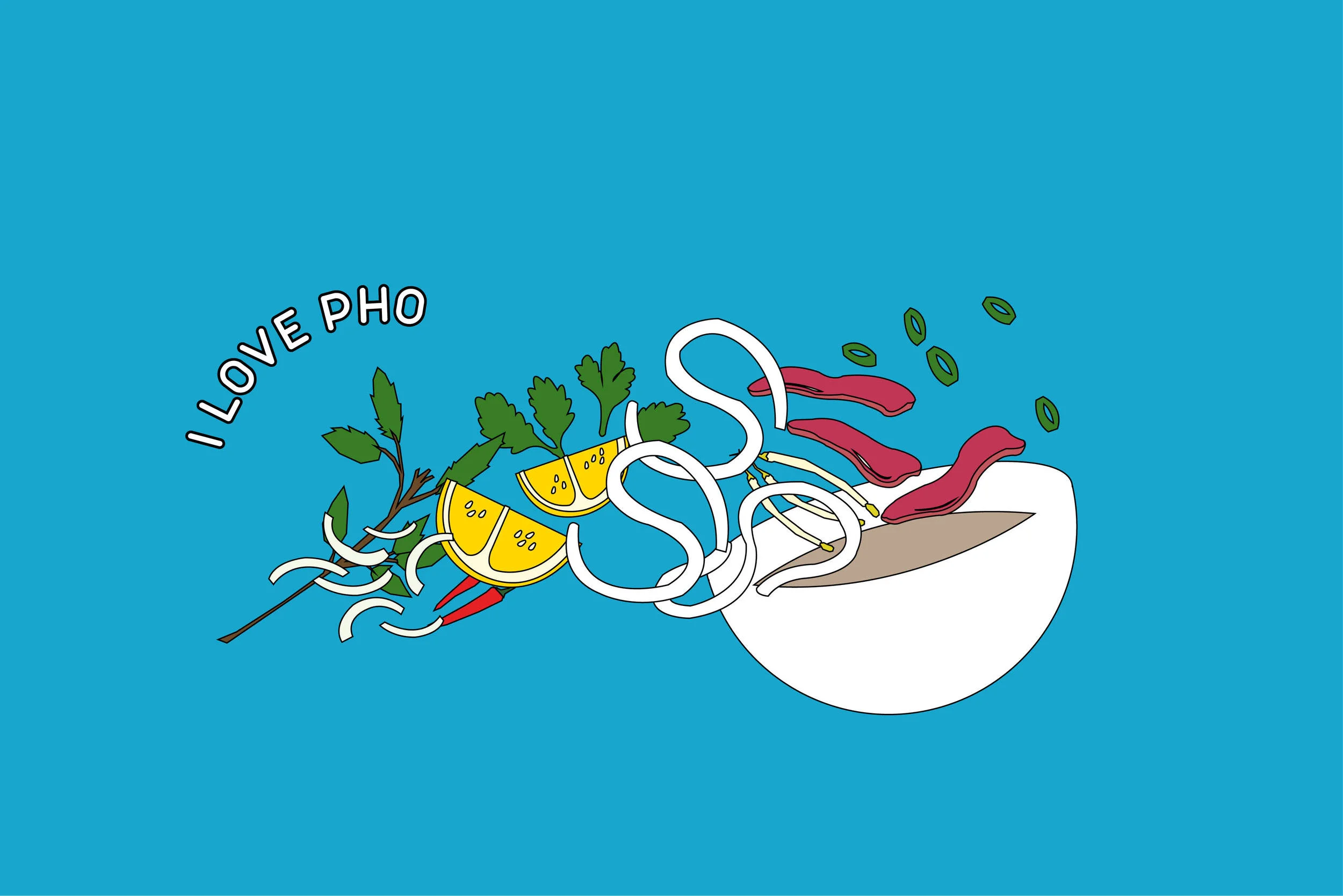 bowl of pho.jpg