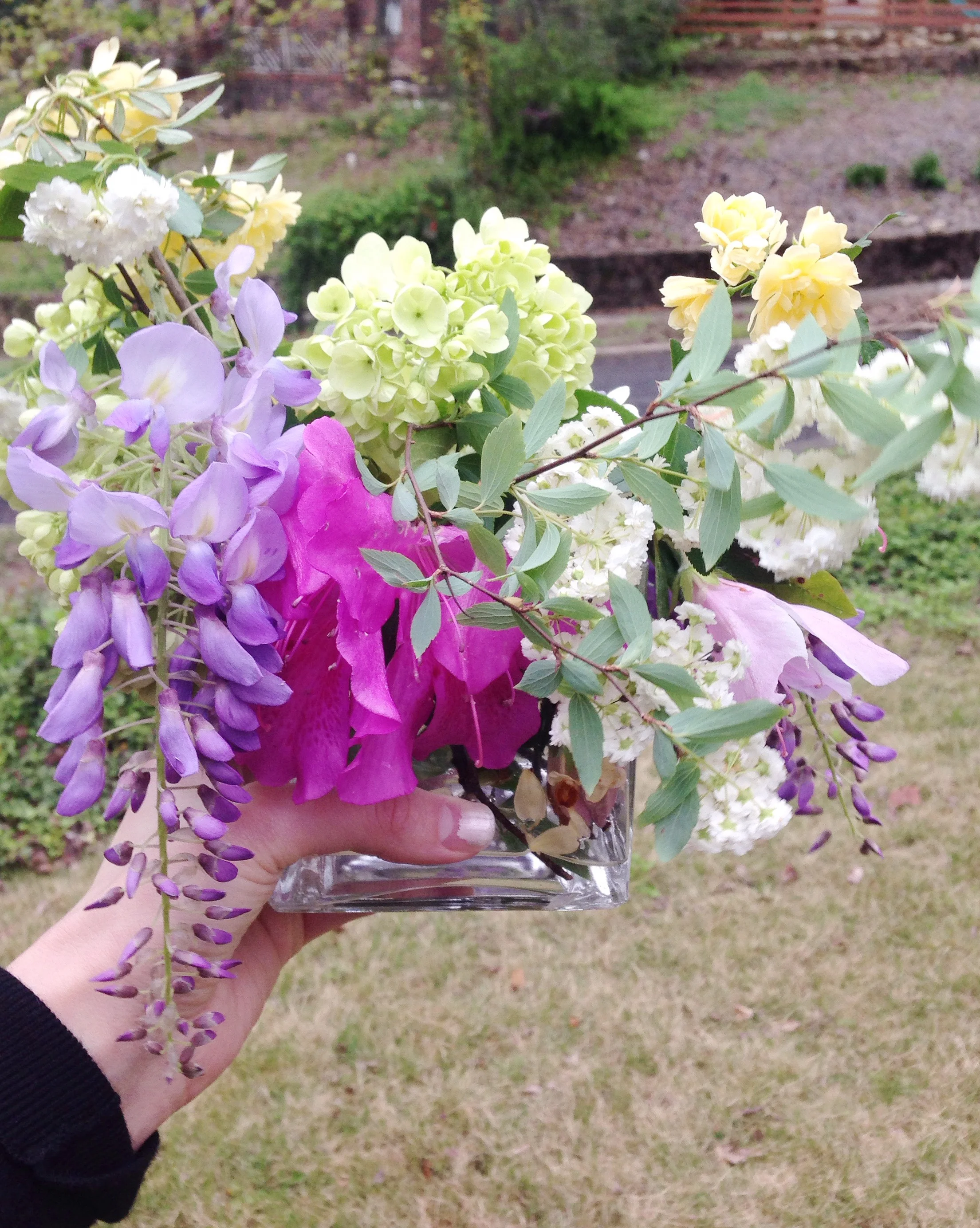 I love the beauty and hope of spring blooms!