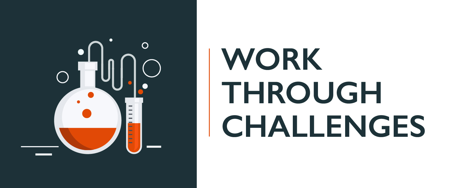 WORK THROUGH CHALLENGES-100.jpg