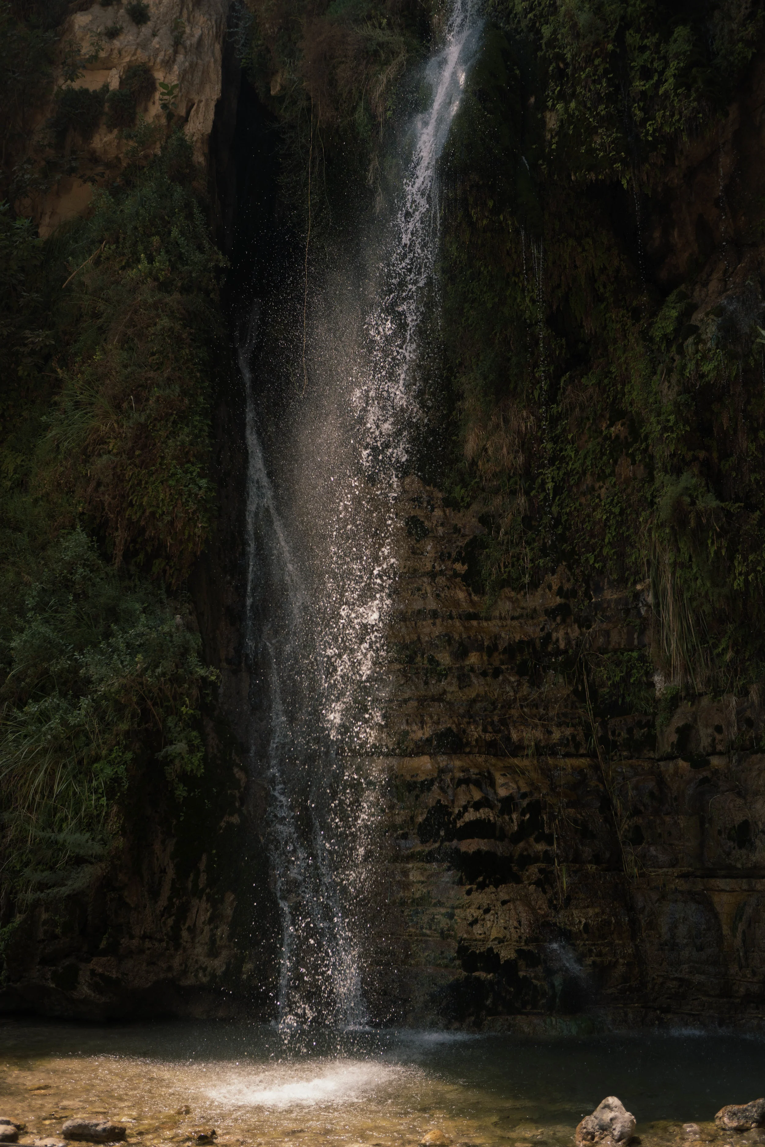 DSC09176-46.jpg
