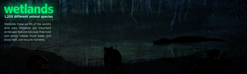W2.gif