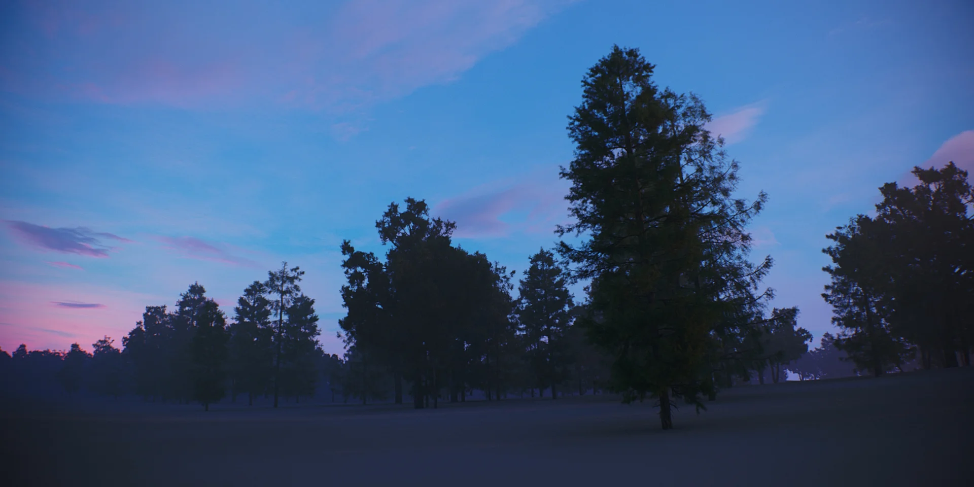 Tree Scene Alien Skies 07 Camera A.jpg