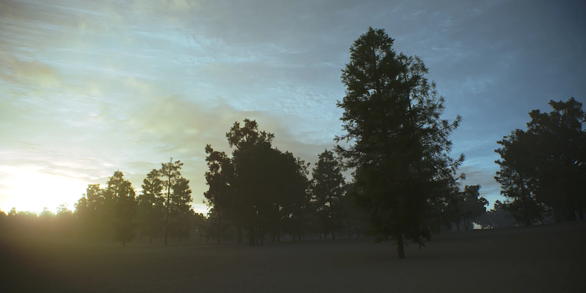 Tree Scene Alien Skies 08 Camera A.jpg