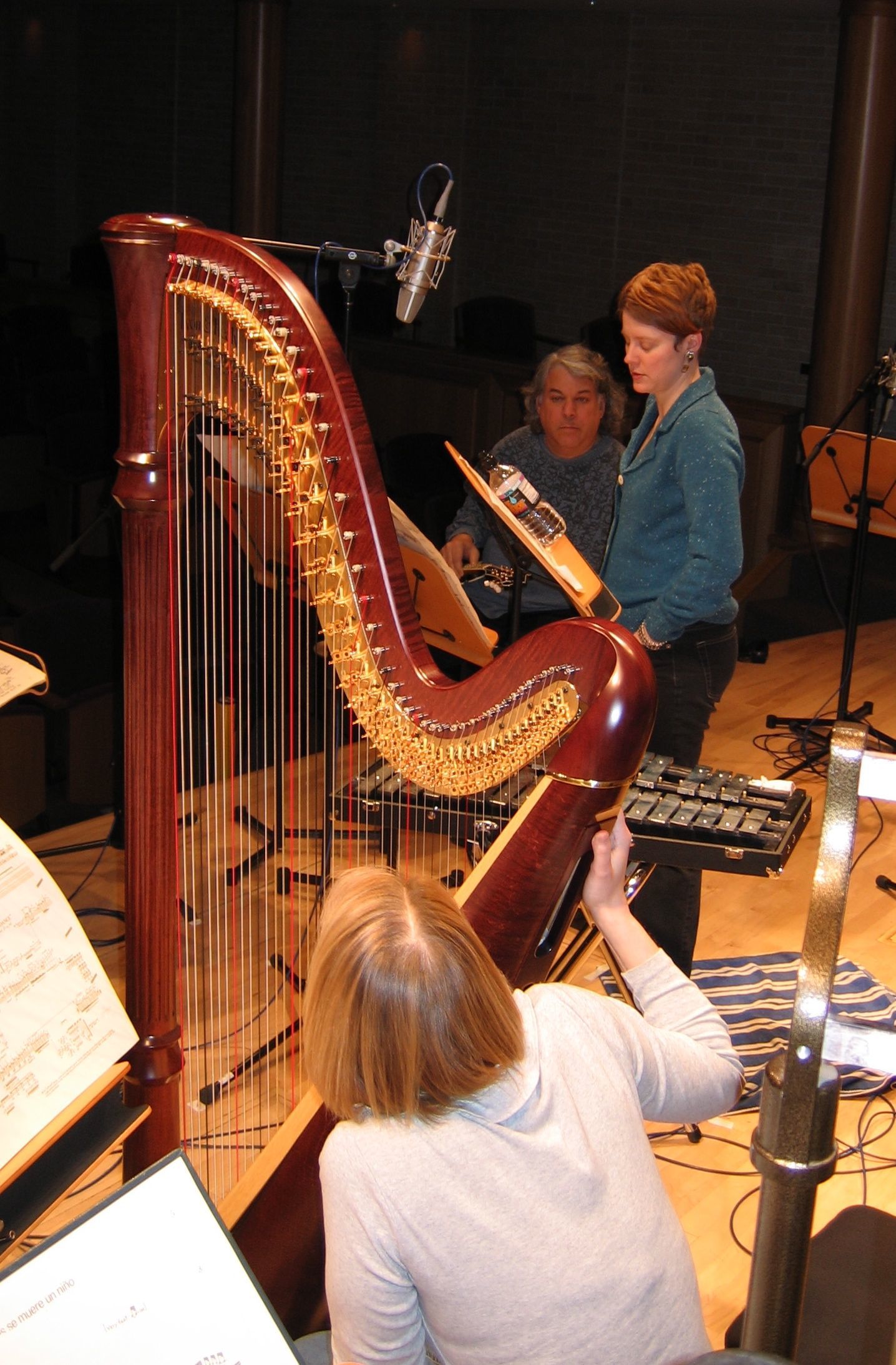  recording Crumb  Ancient Voices  for Bridge Records, 2005.  photo: Steve Bruns    