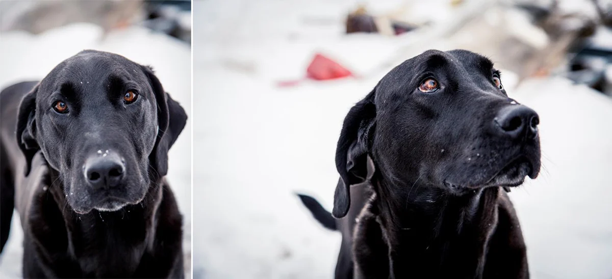 portraits9.jpg