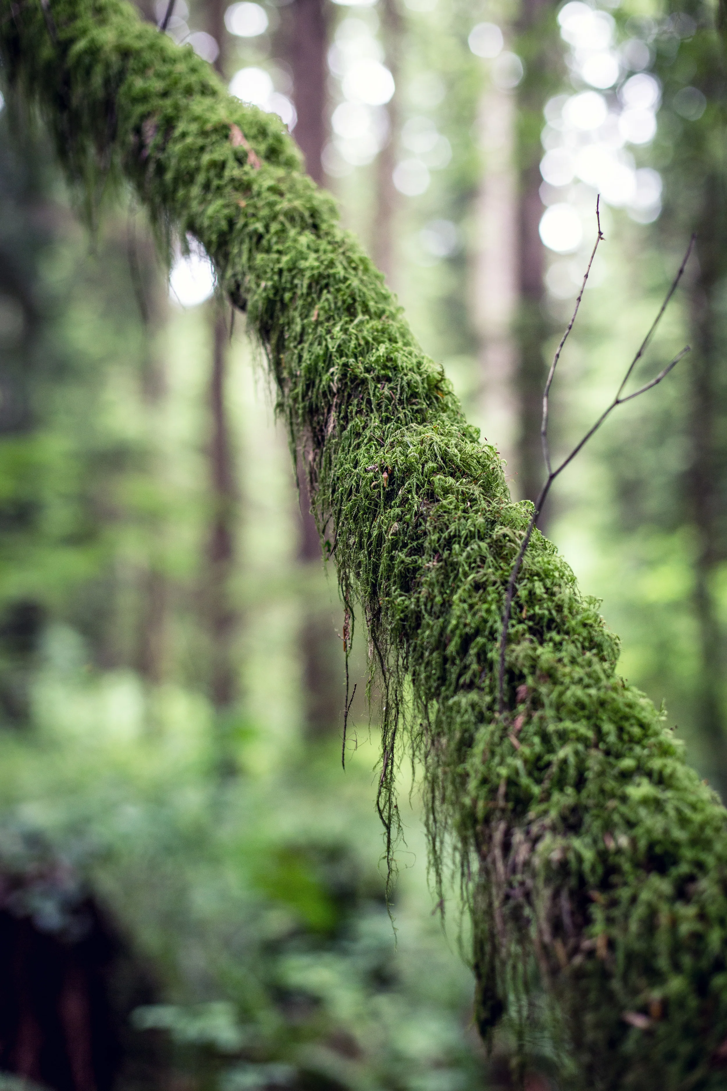 IMG_6524-Edit.jpg
