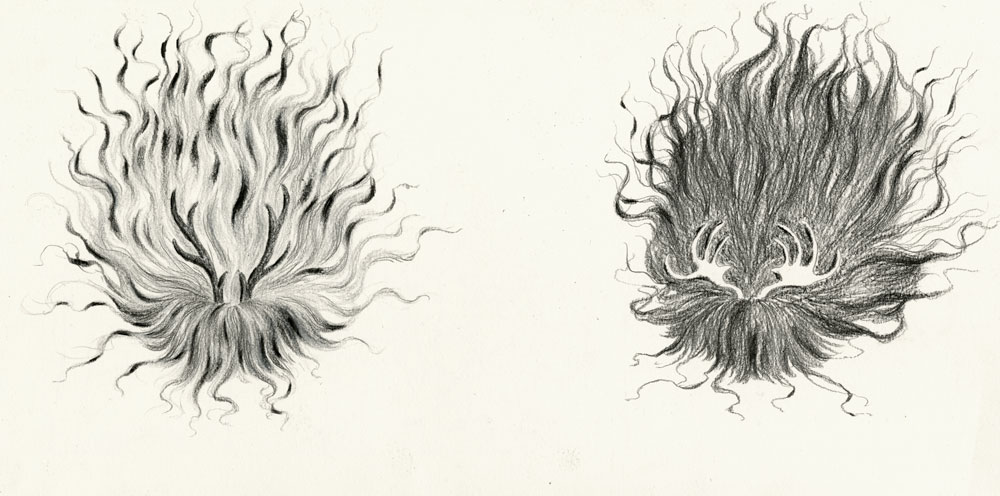  8"x16", pencil on paper, 2012  Entrance/Exit is the (New Telant) winner of AOI Illustration Awards in Books category. 