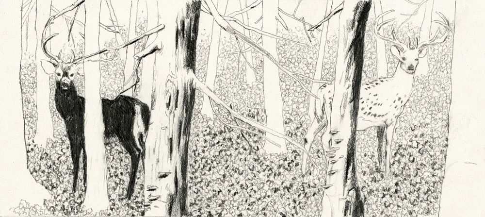  8"x16", pencil on paper, 2012  Entrance/Exit is the (New Telant) winner of AOI Illustration Awards in Books category. 