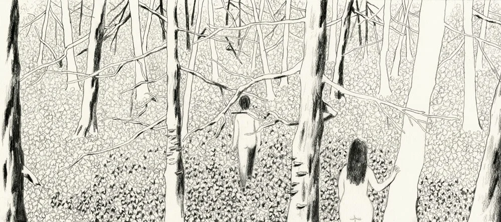  8"x16", pencil on paper, 2012  Entrance/Exit is the (New Telant) winner of AOI Illustration Awards in Books category. 