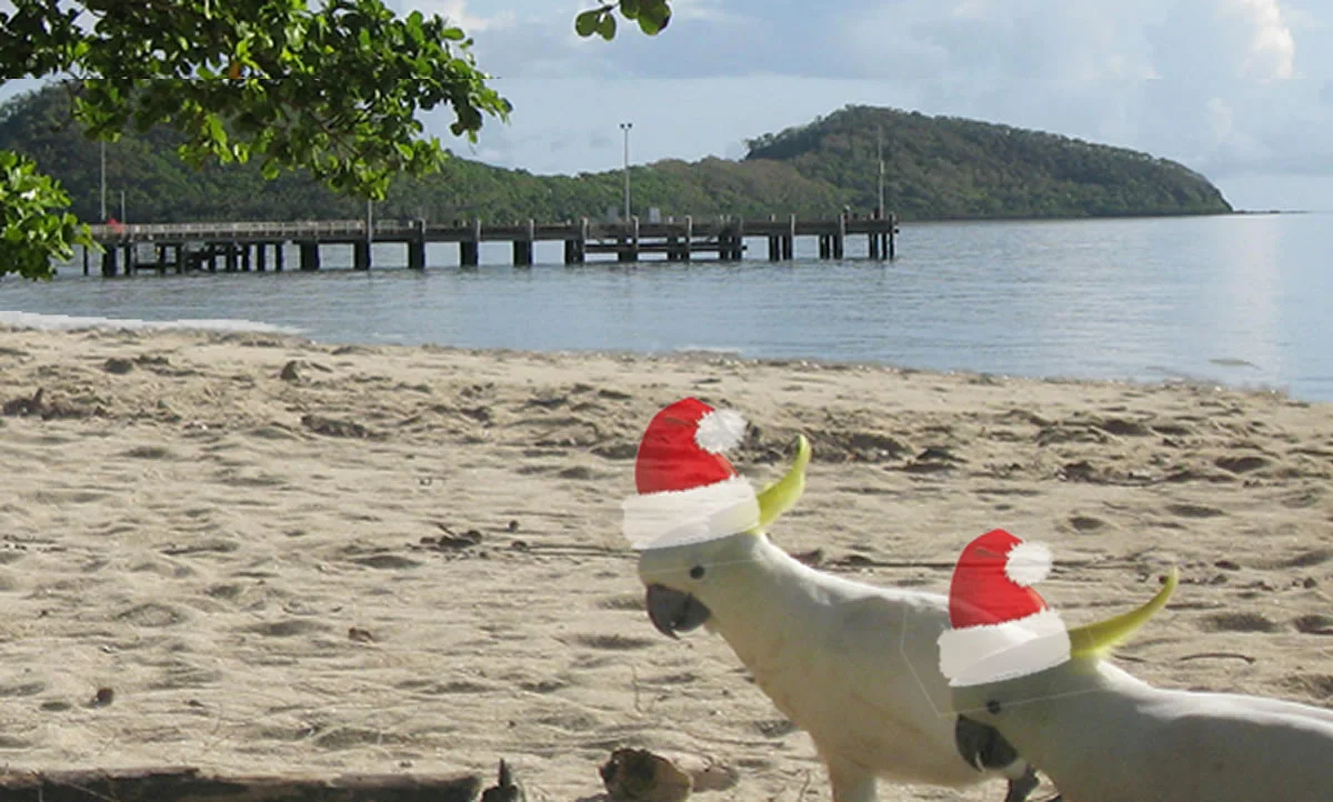 Confirm you place for your Xmas party at Beach Almond’s private beach.