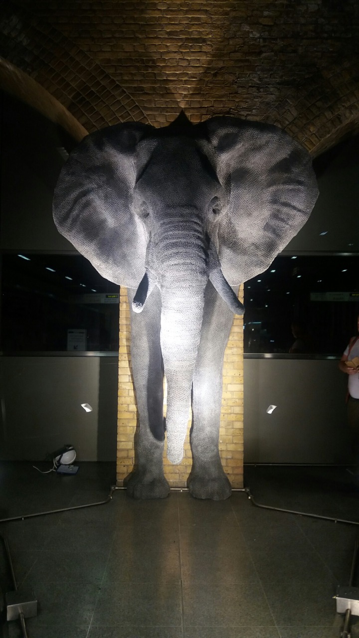 elephant-2.jpeg