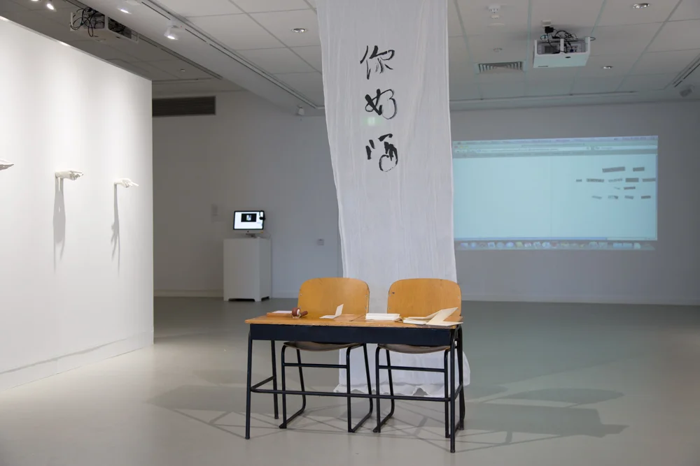 Installation view