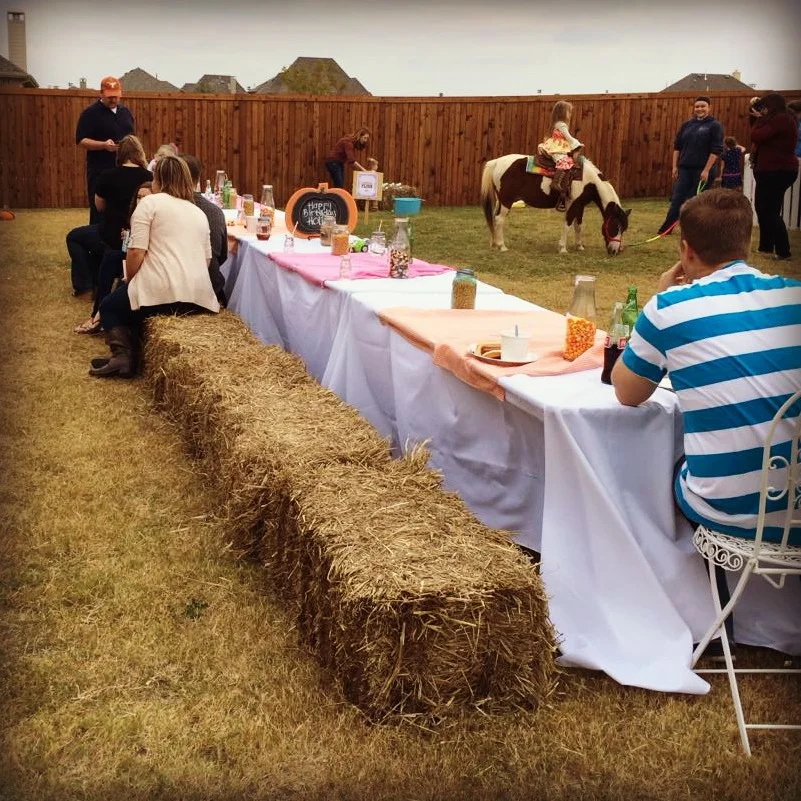 Even though my missed decor opportunity will always haunt me-- the hay bales made awesome chairs-- at least for the aesthetic effect! 